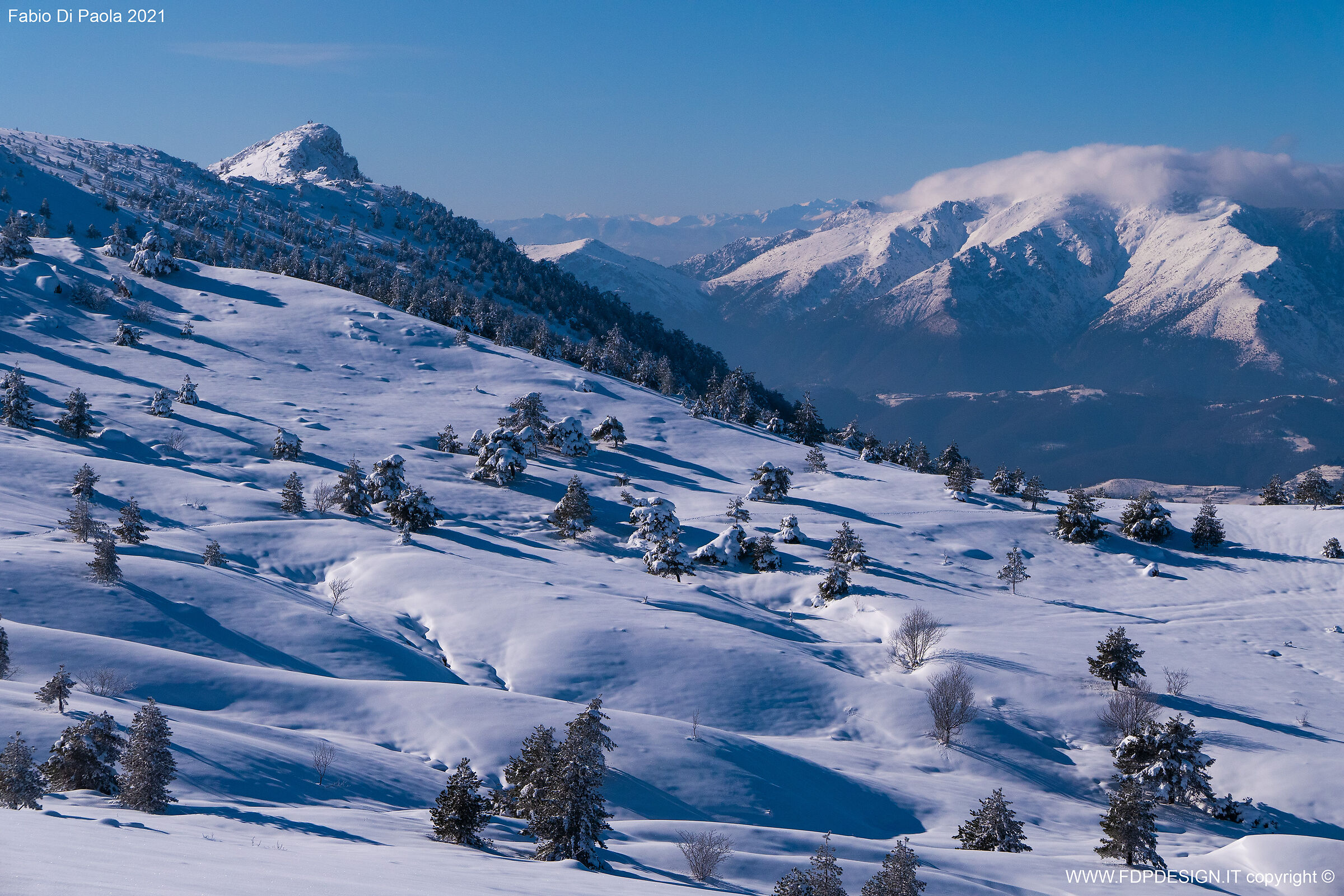 Punta Martin and The Faiallo Group