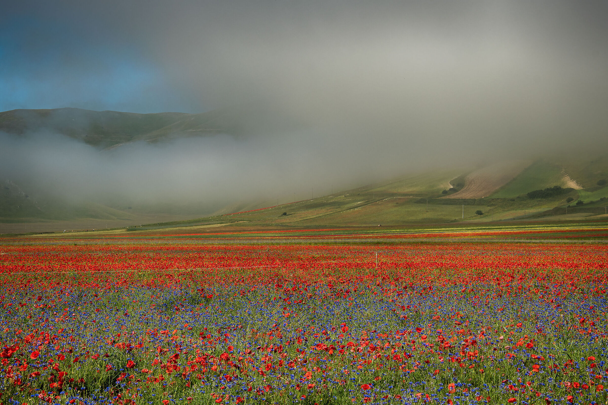 Piana di Castelluccio