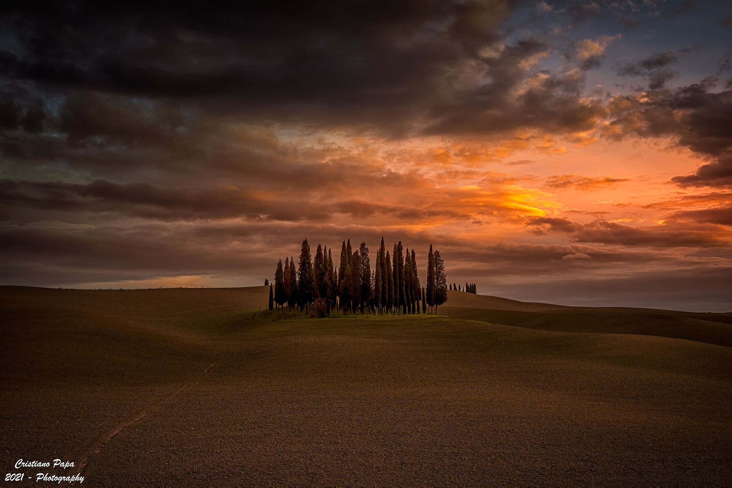 Tramonto sui cipressi