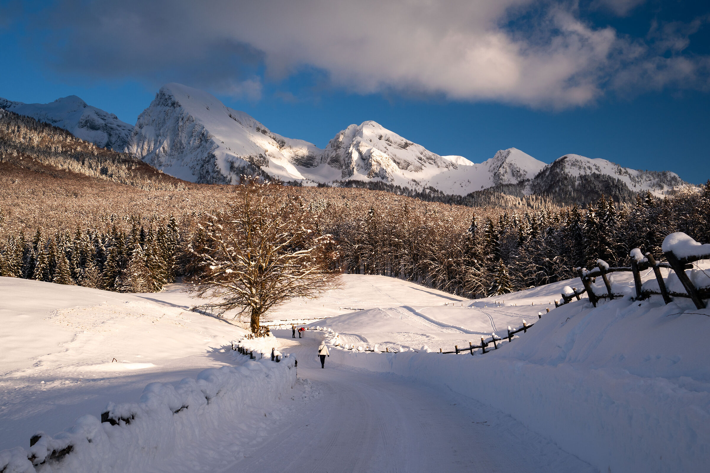 Col Indes in veste invernale