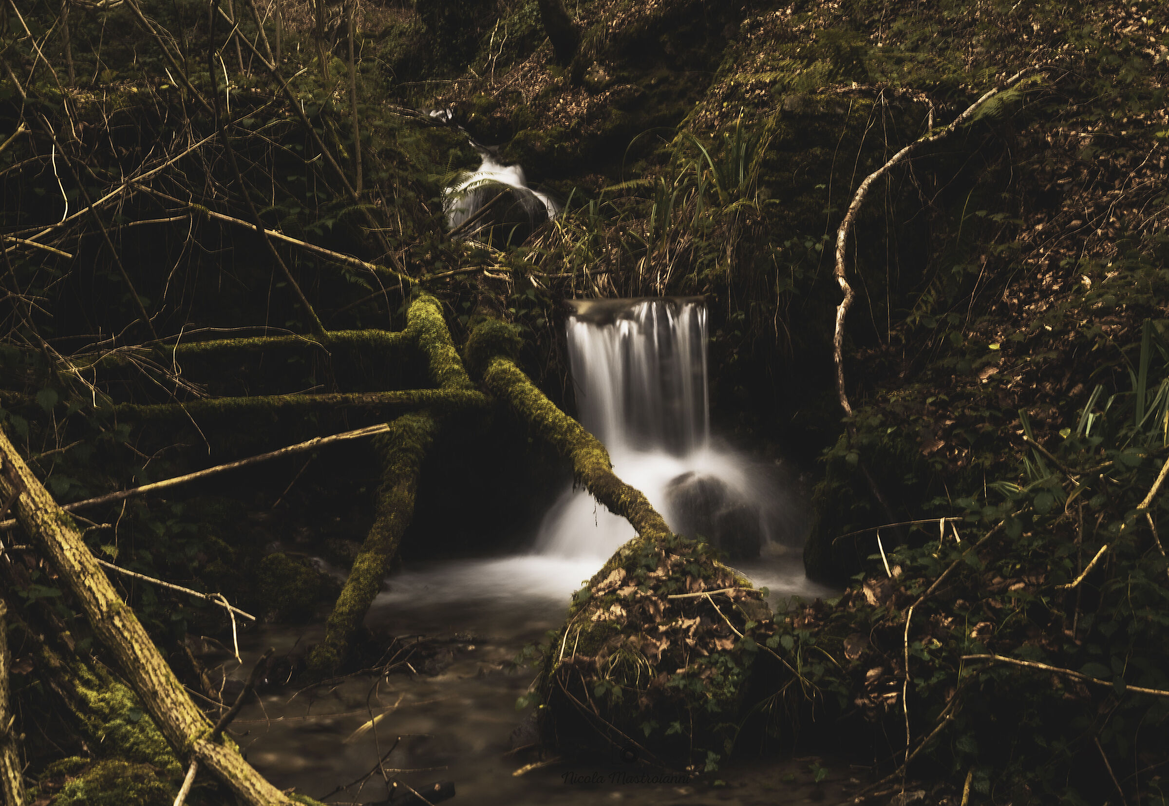 Nature