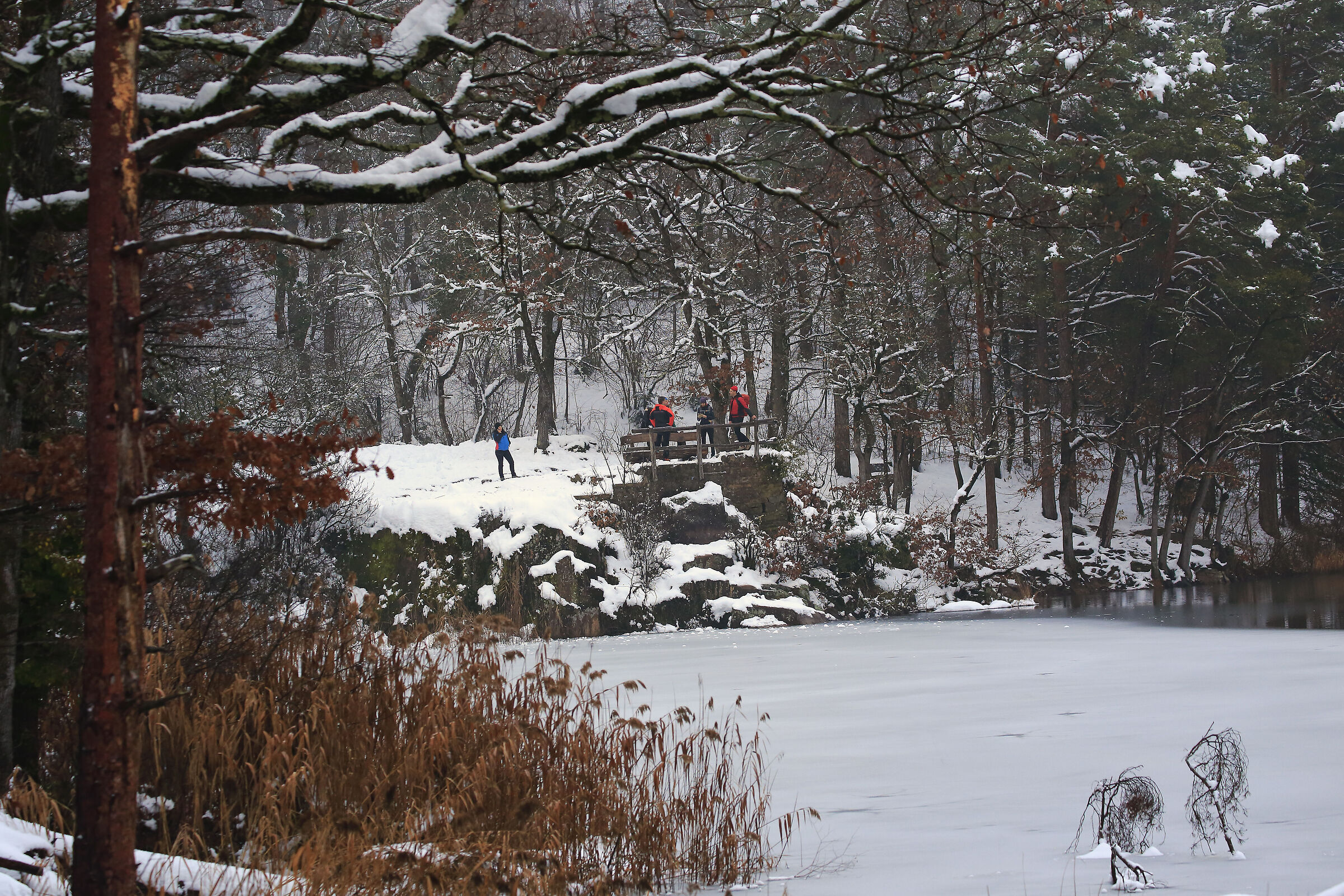 Appointment in the woods