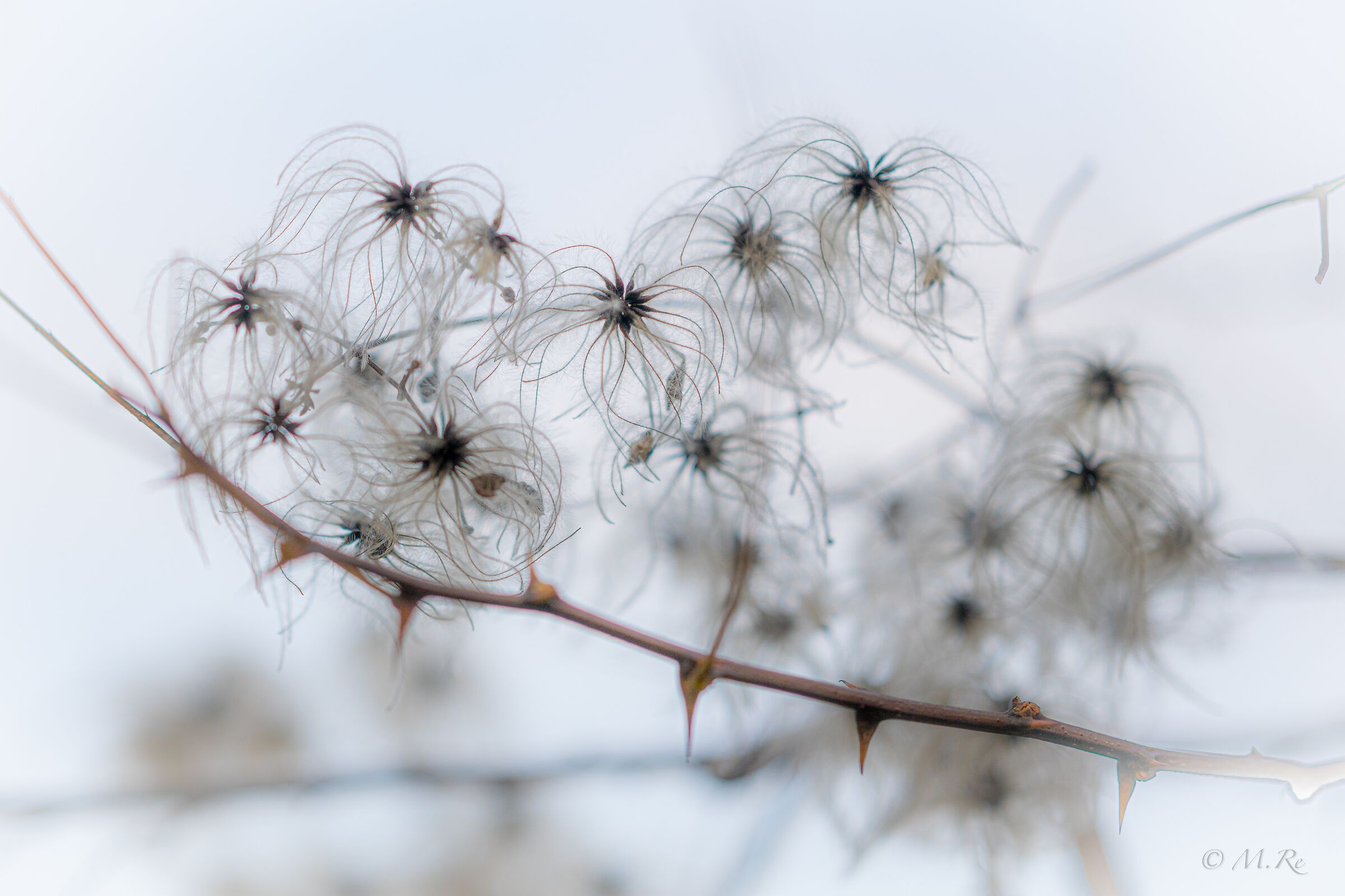 Untitled Photo