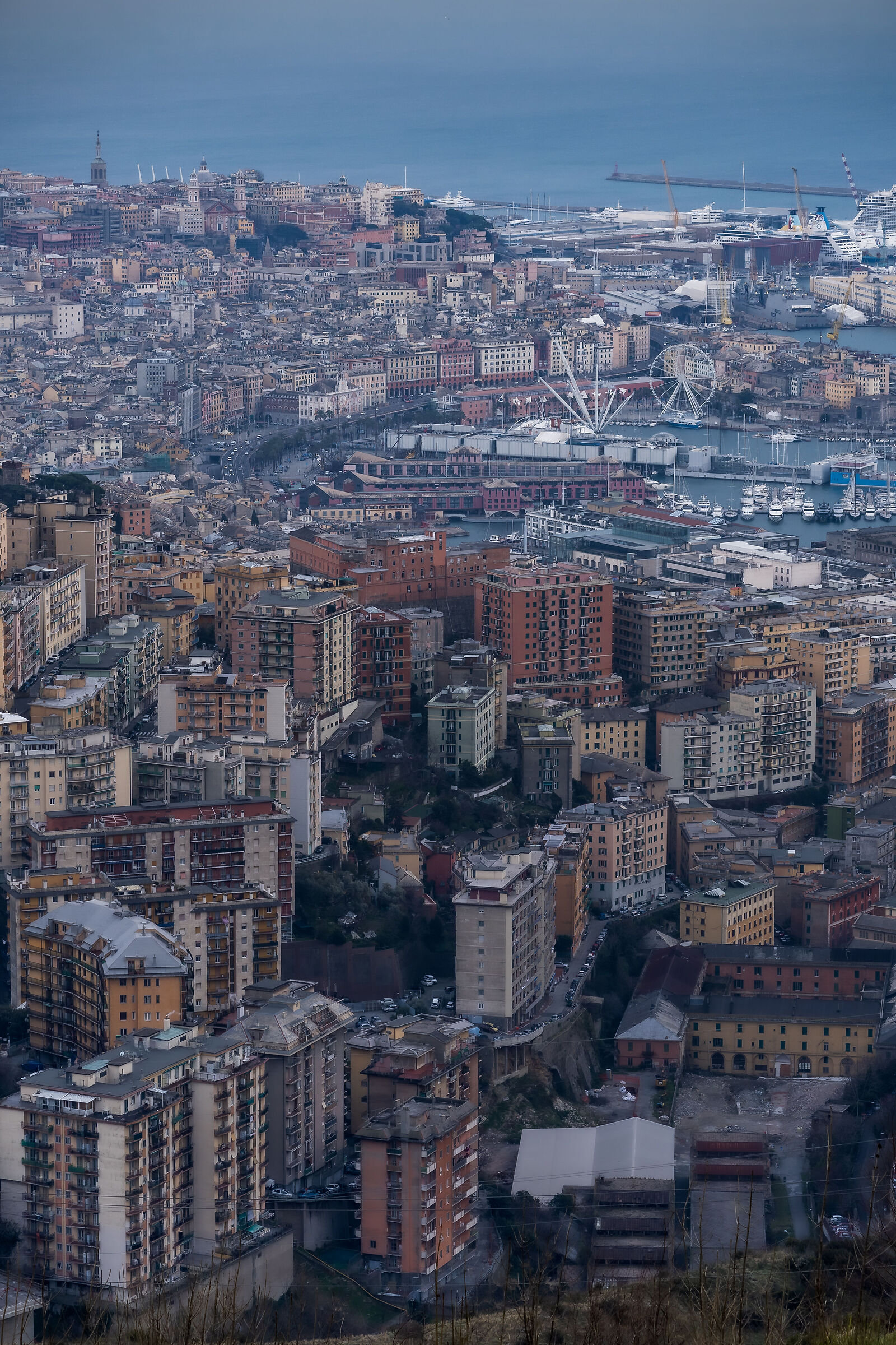 Genoa