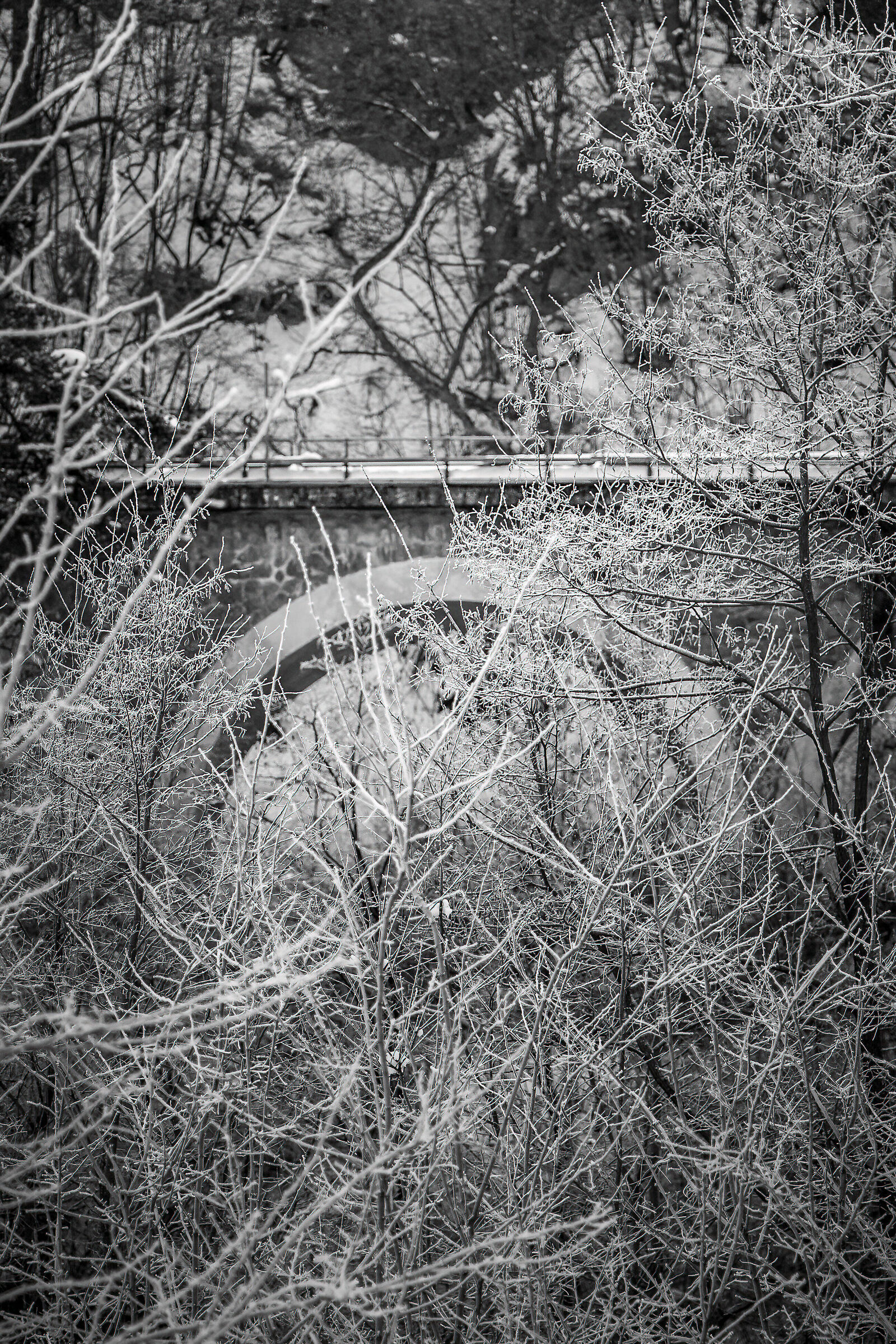 Il ponte della ferrovia (Slacche TN Italia)