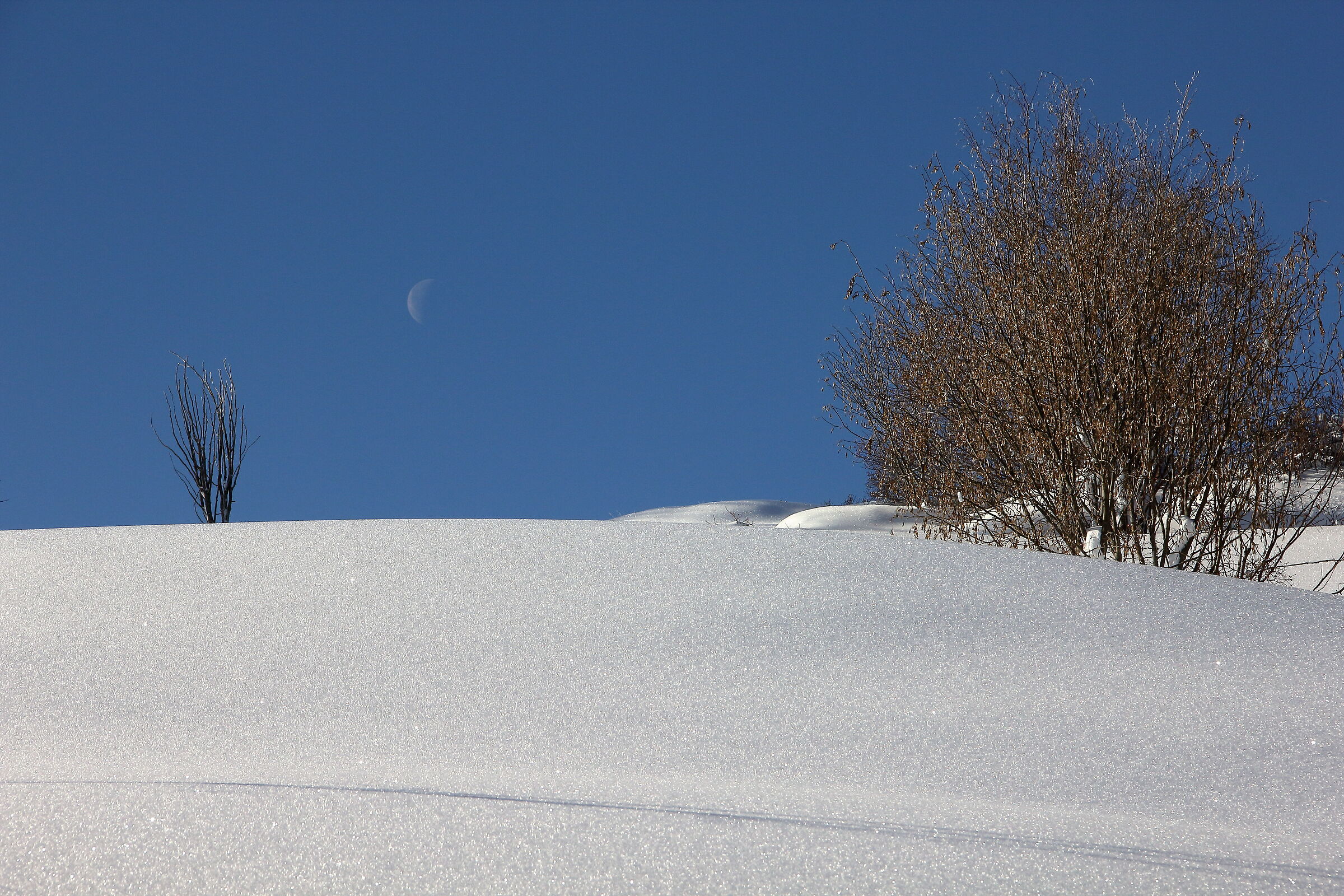 Untitled Photo