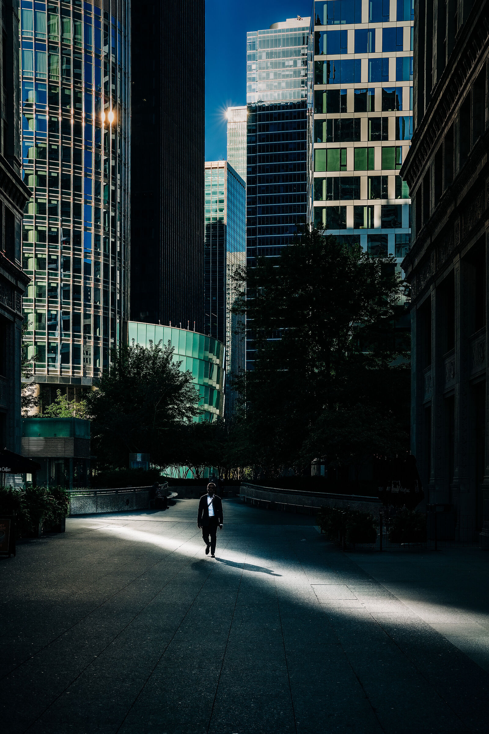 entangled in darkness: seeking the light