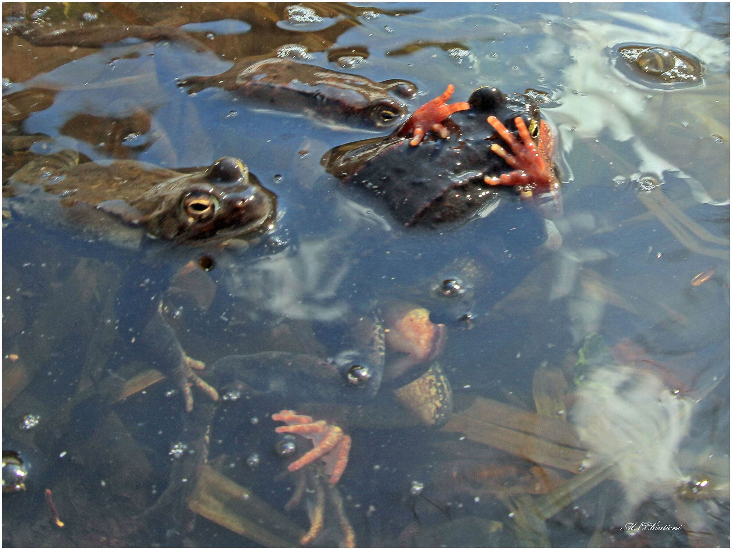 ..."Vietato ai Minori"