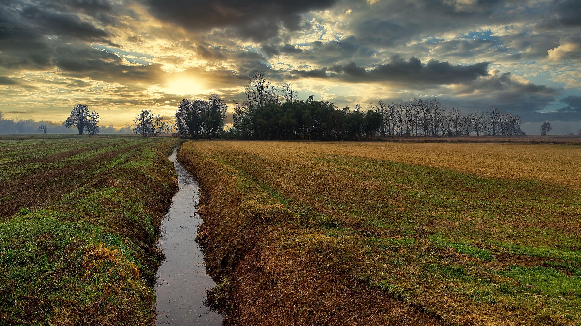 The colors of winter