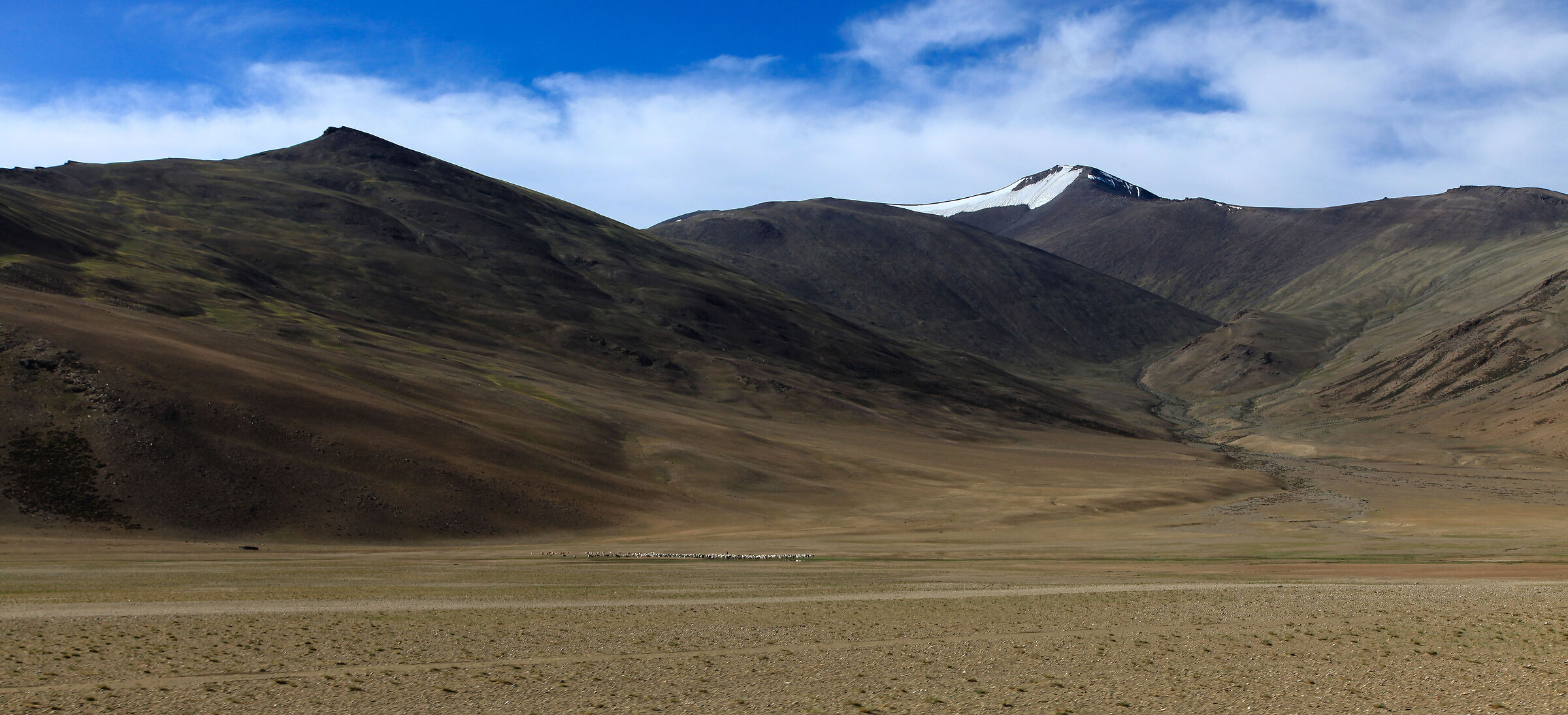 Somewhere between Leh and Manali