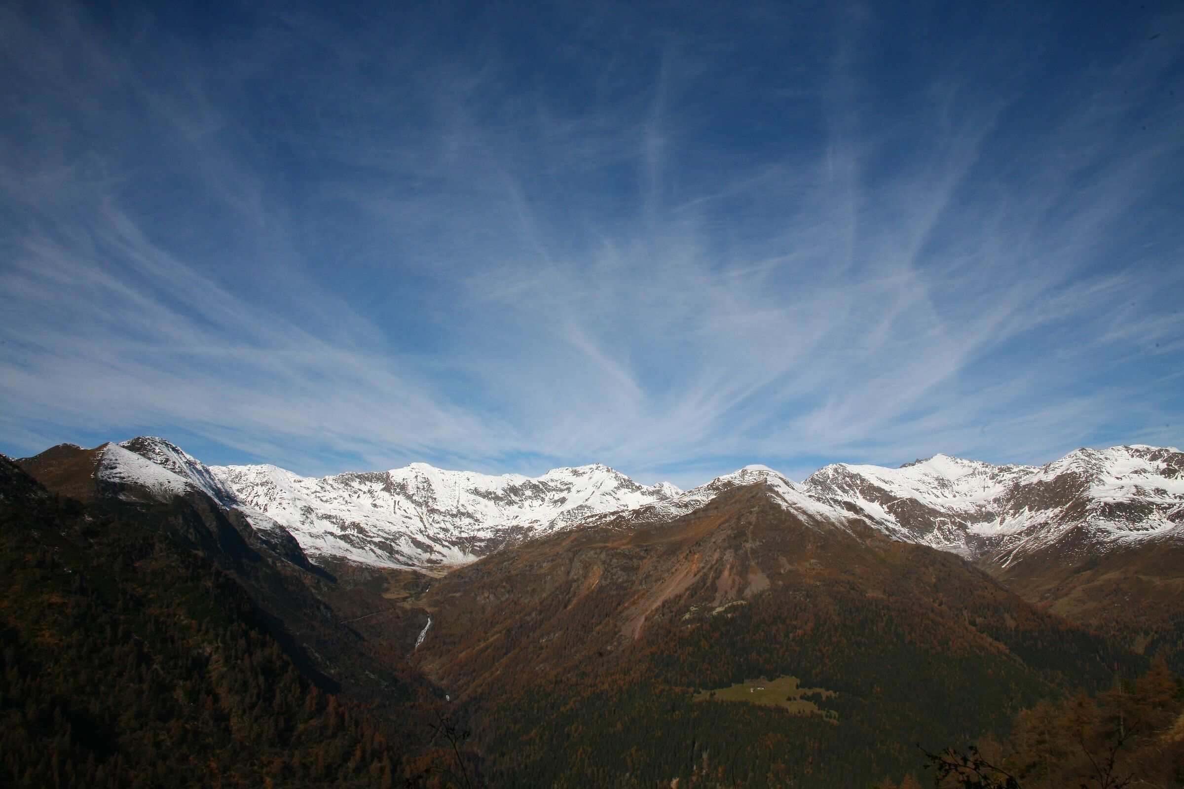 Dawn of The Barefoot