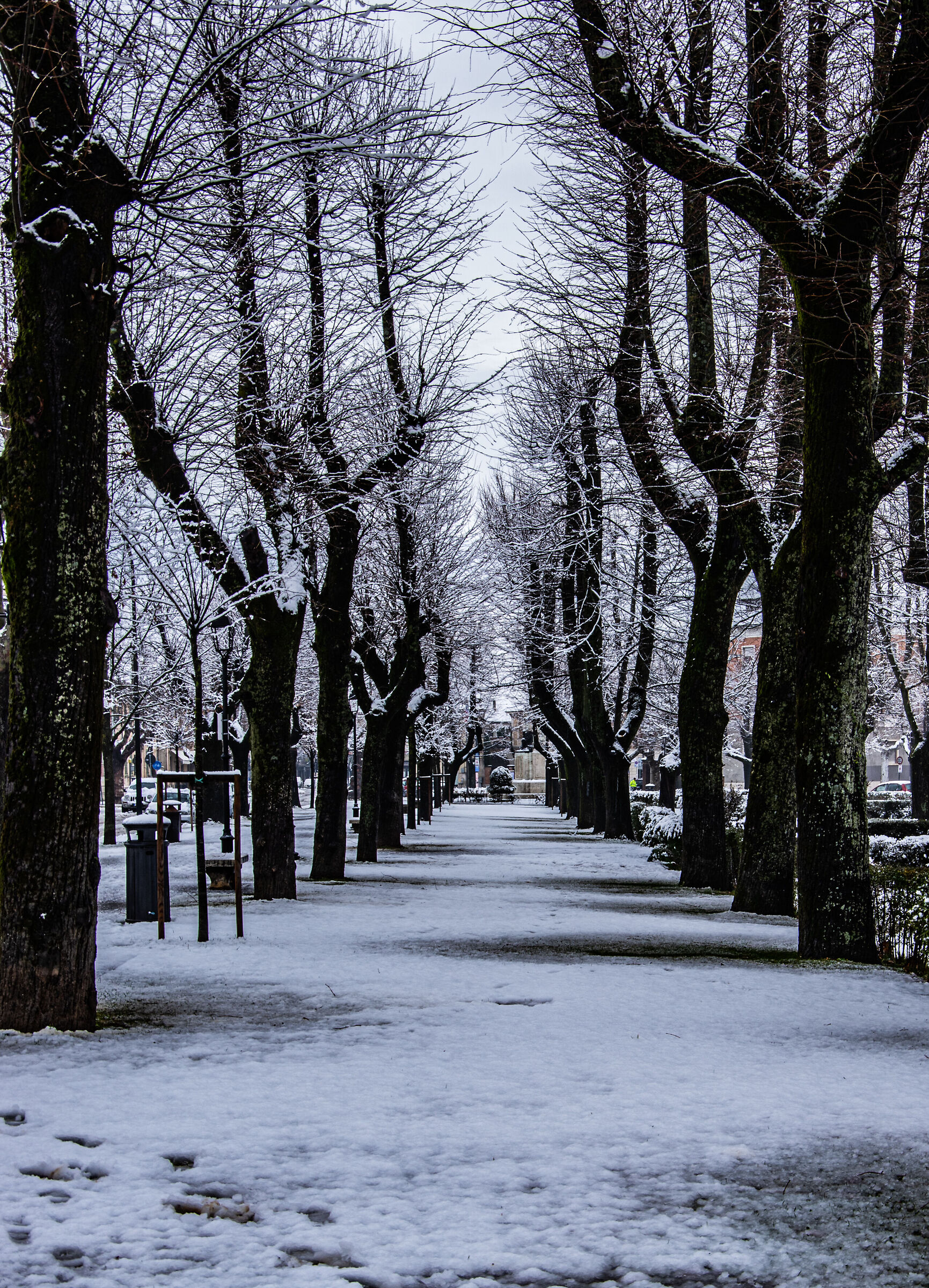 Wintering