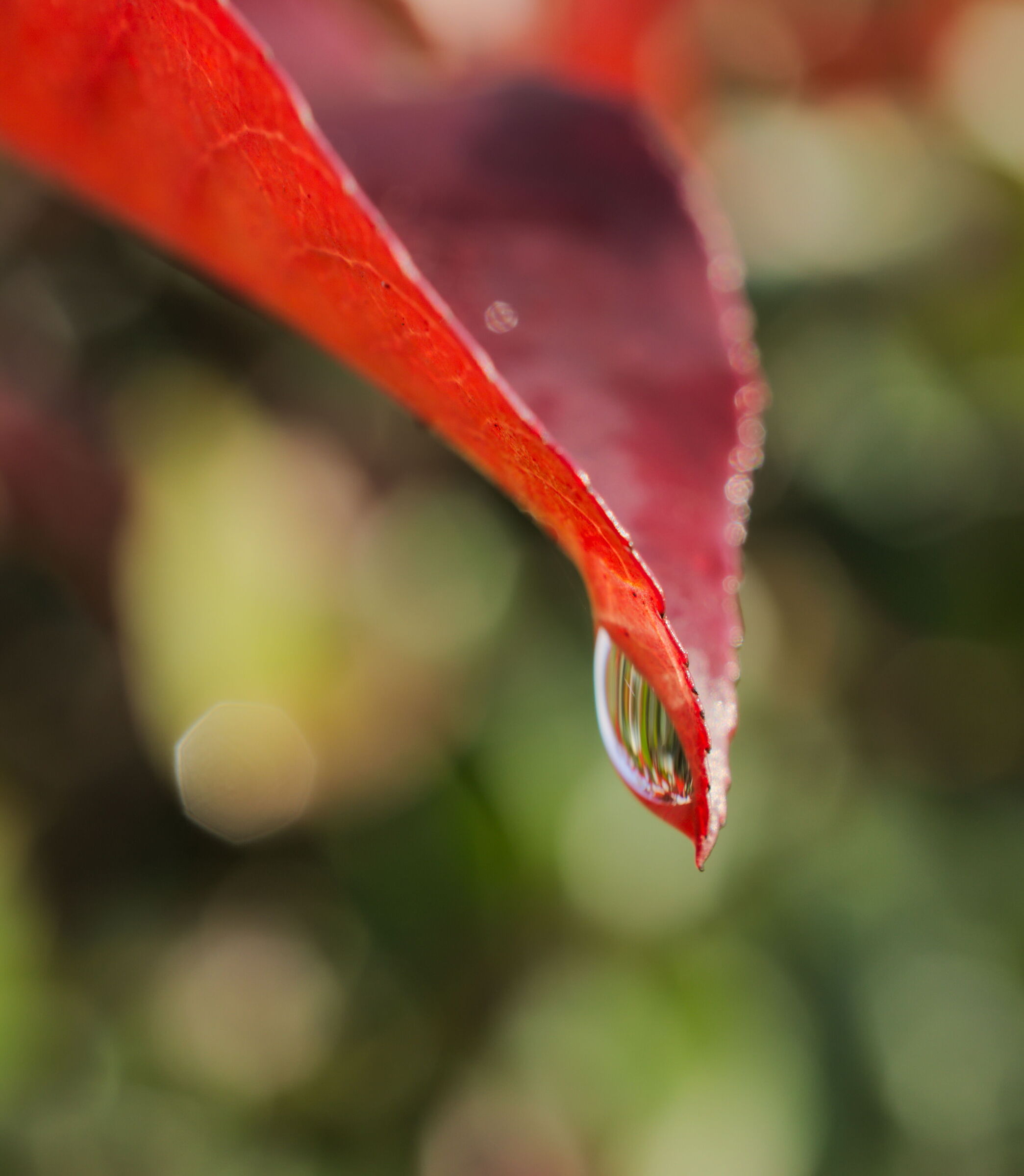 l'inizio del disgelo