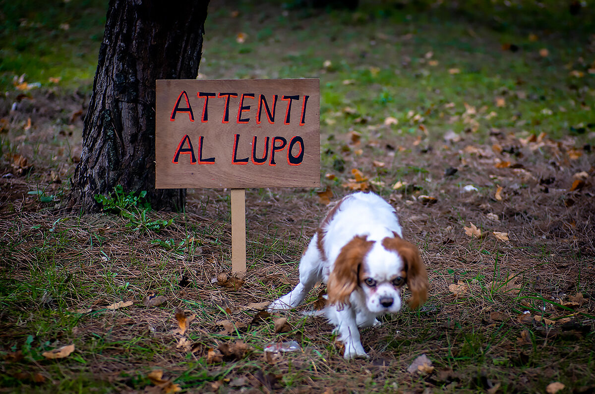 ... Ocio che sono terribileee