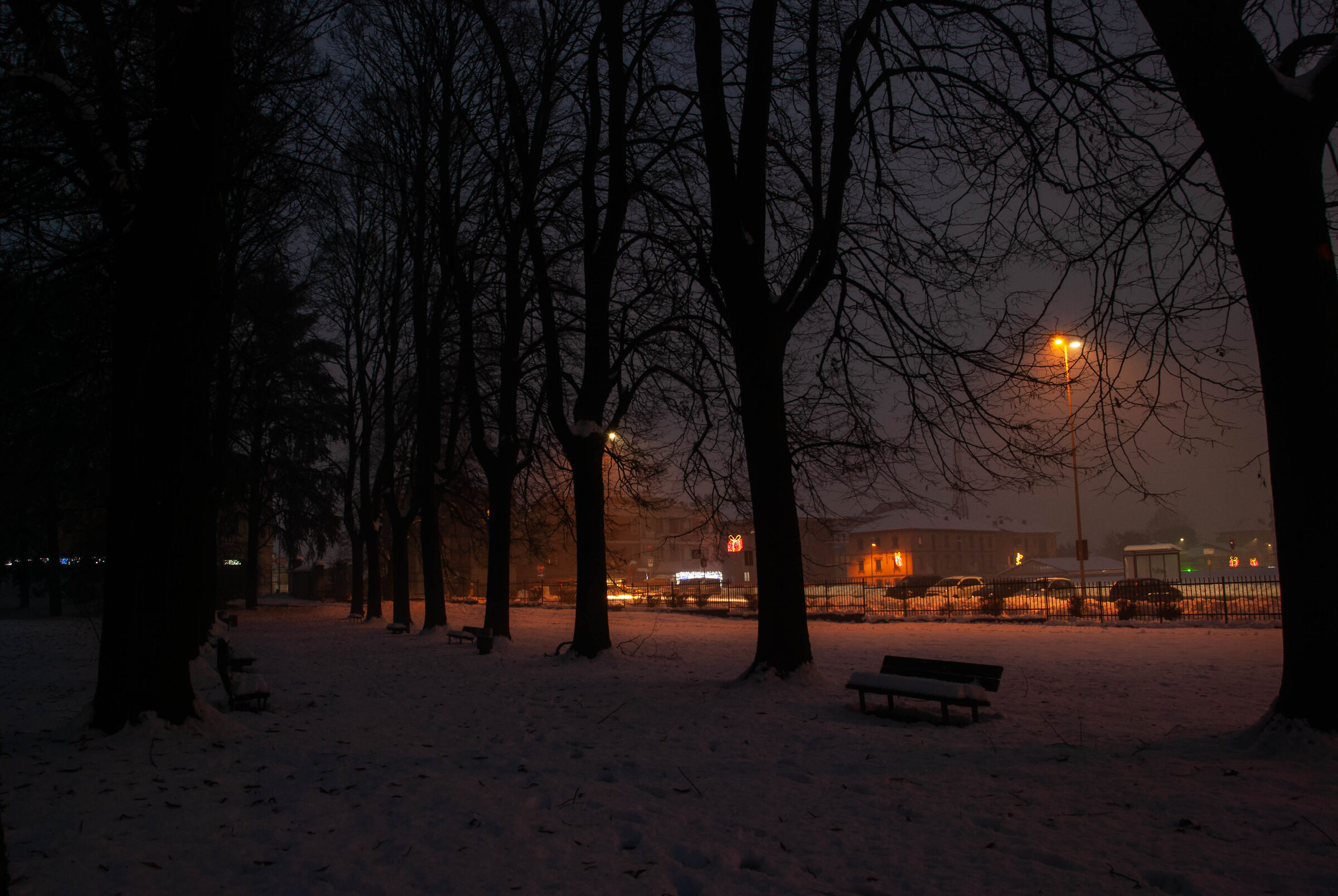 Snowy Carnate Park
