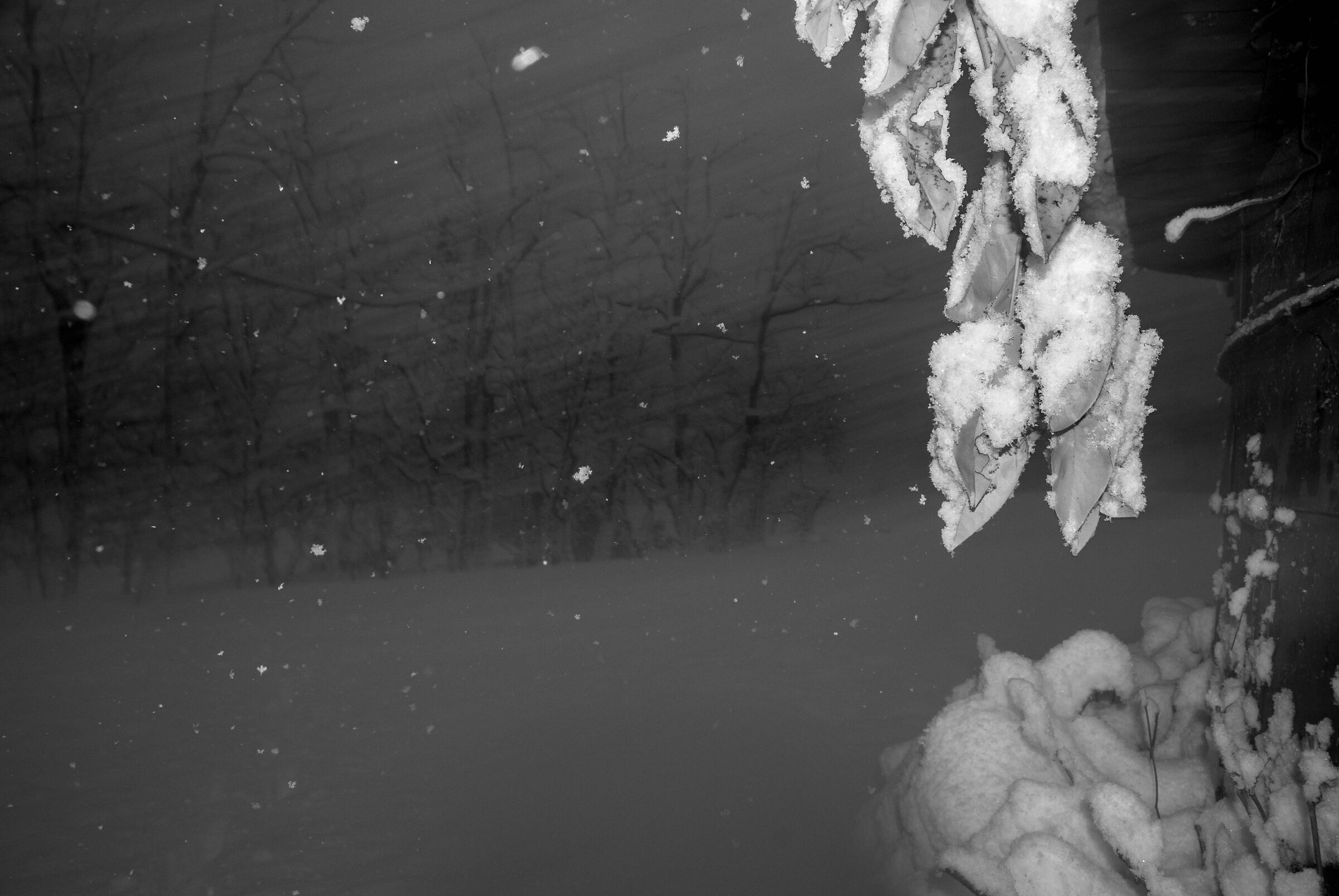 Nevicata abbondante