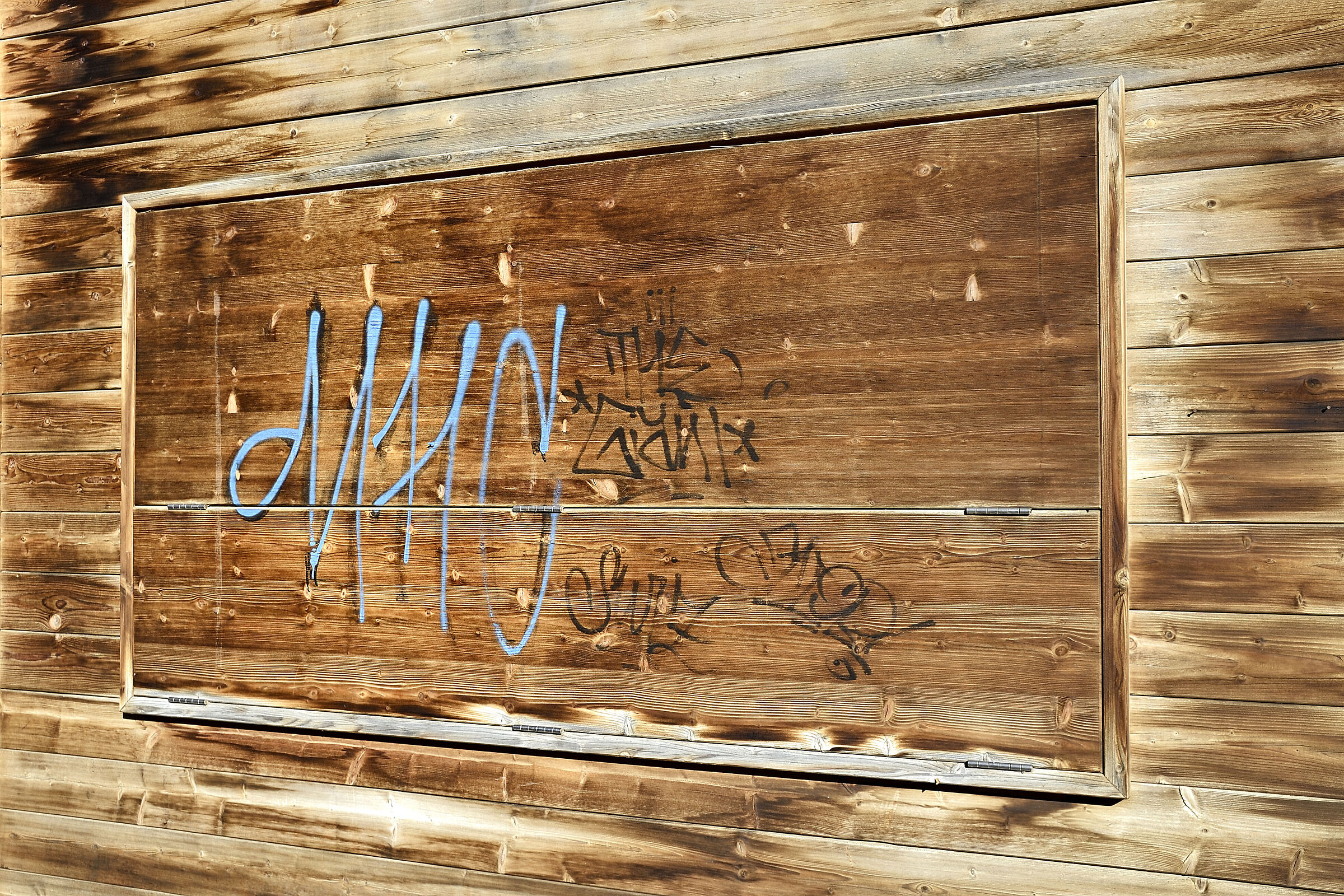 Alla ricerca di Kodachrome 25 n3