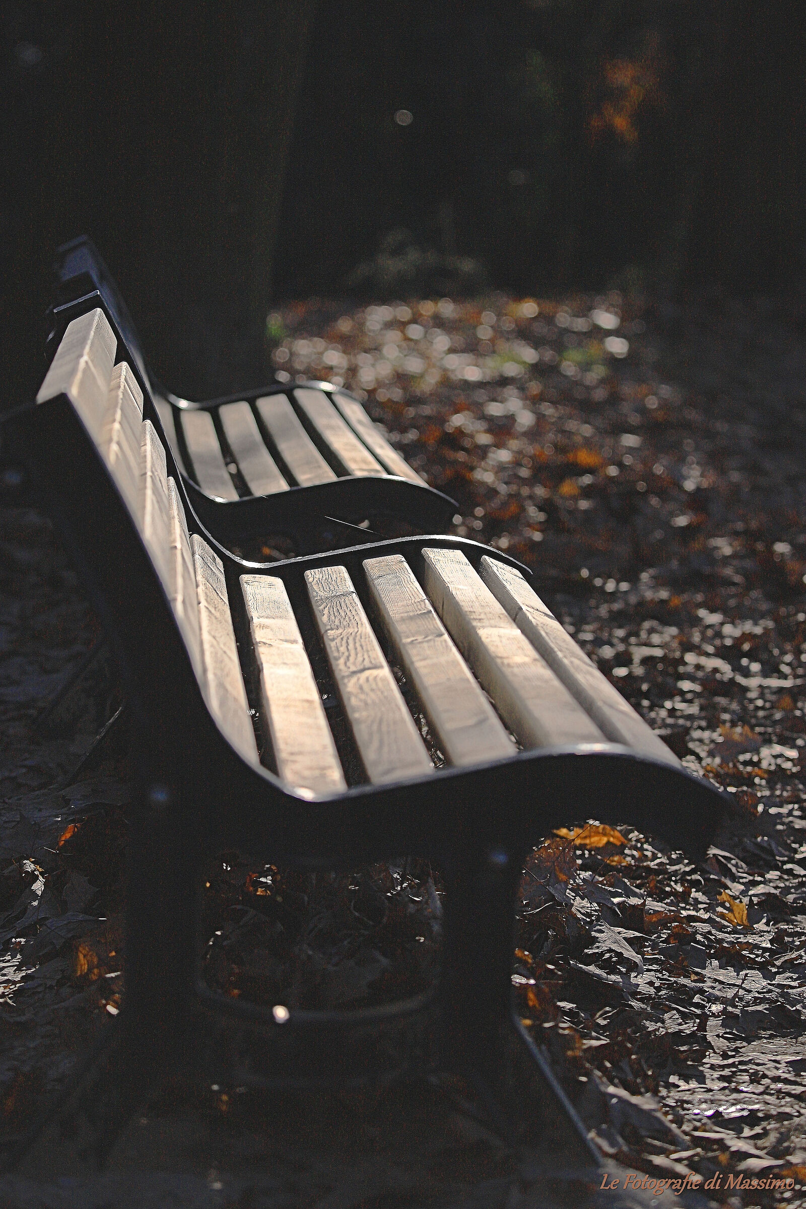 Walking in the Briantea Moorland Park