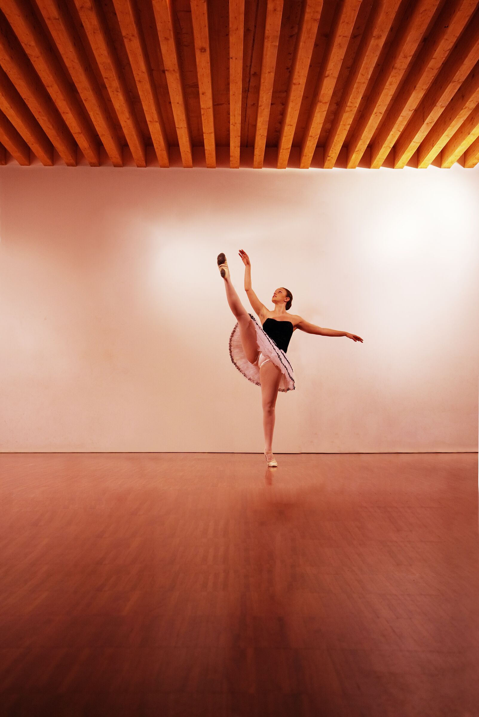 DANCE TECHNIQUE