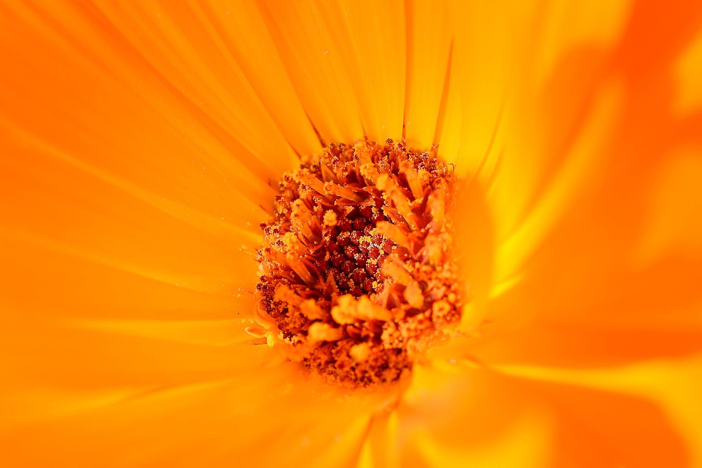 Untitled Photo
