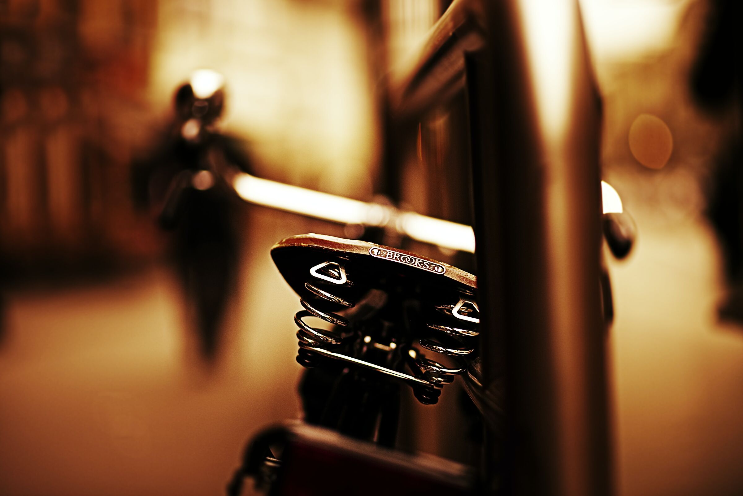 Untitled Photo