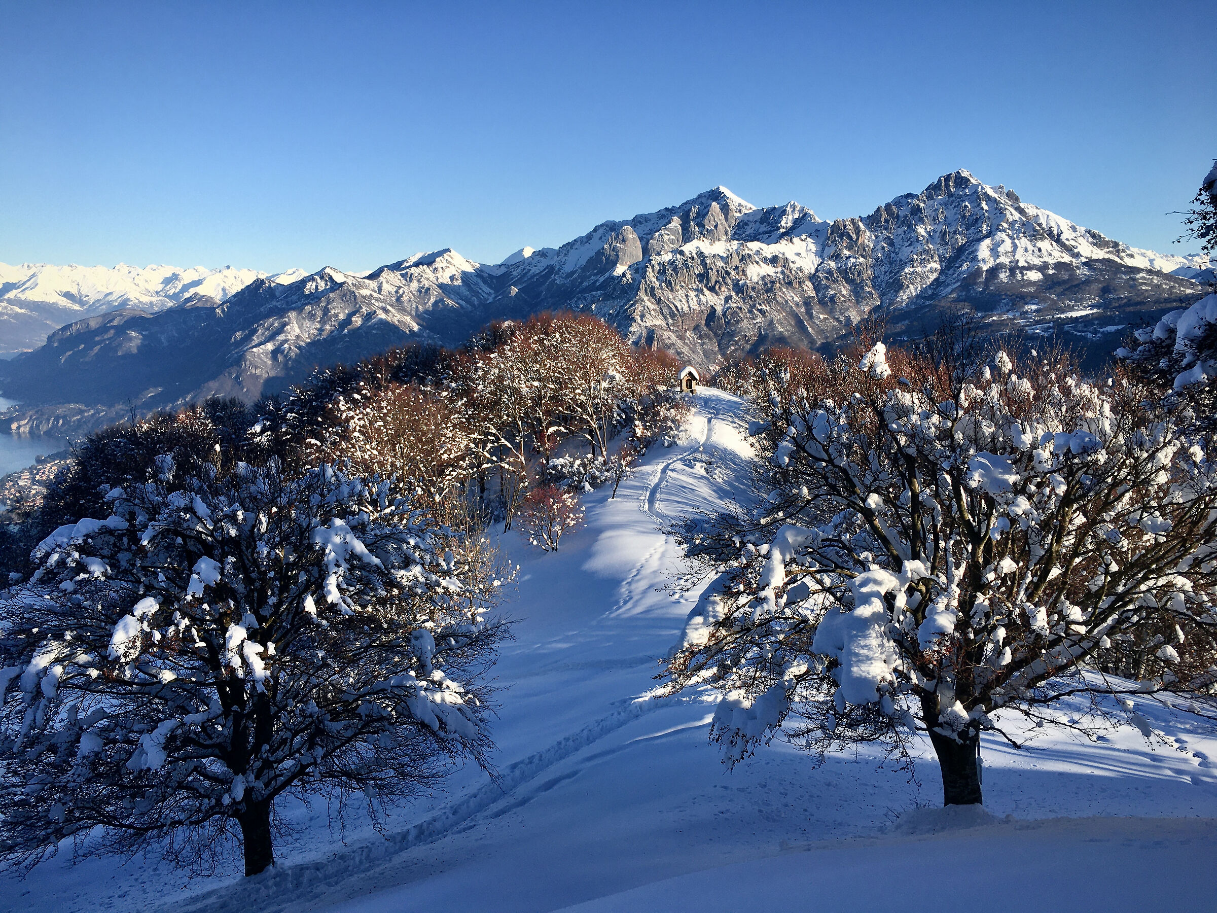 The Grigne seen from the Horns of Canzo 10/01/2021