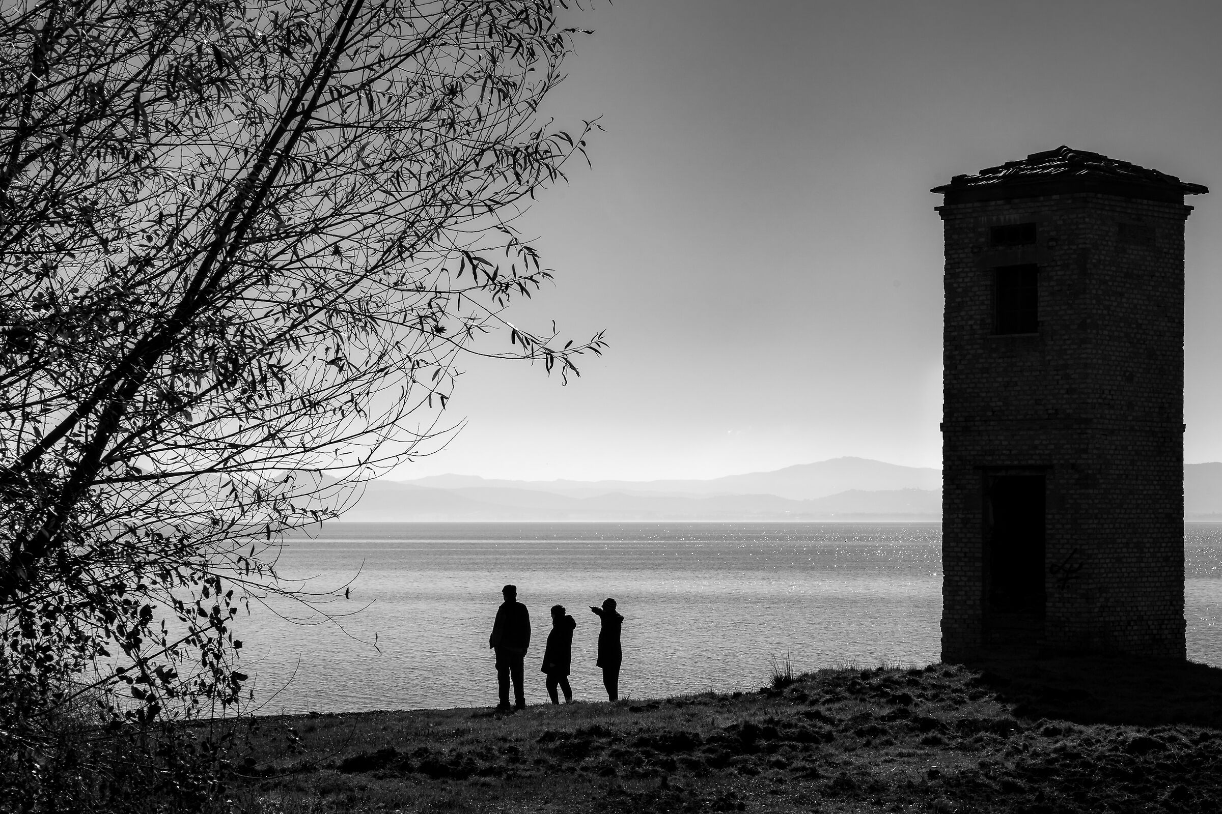 Untitled Photo