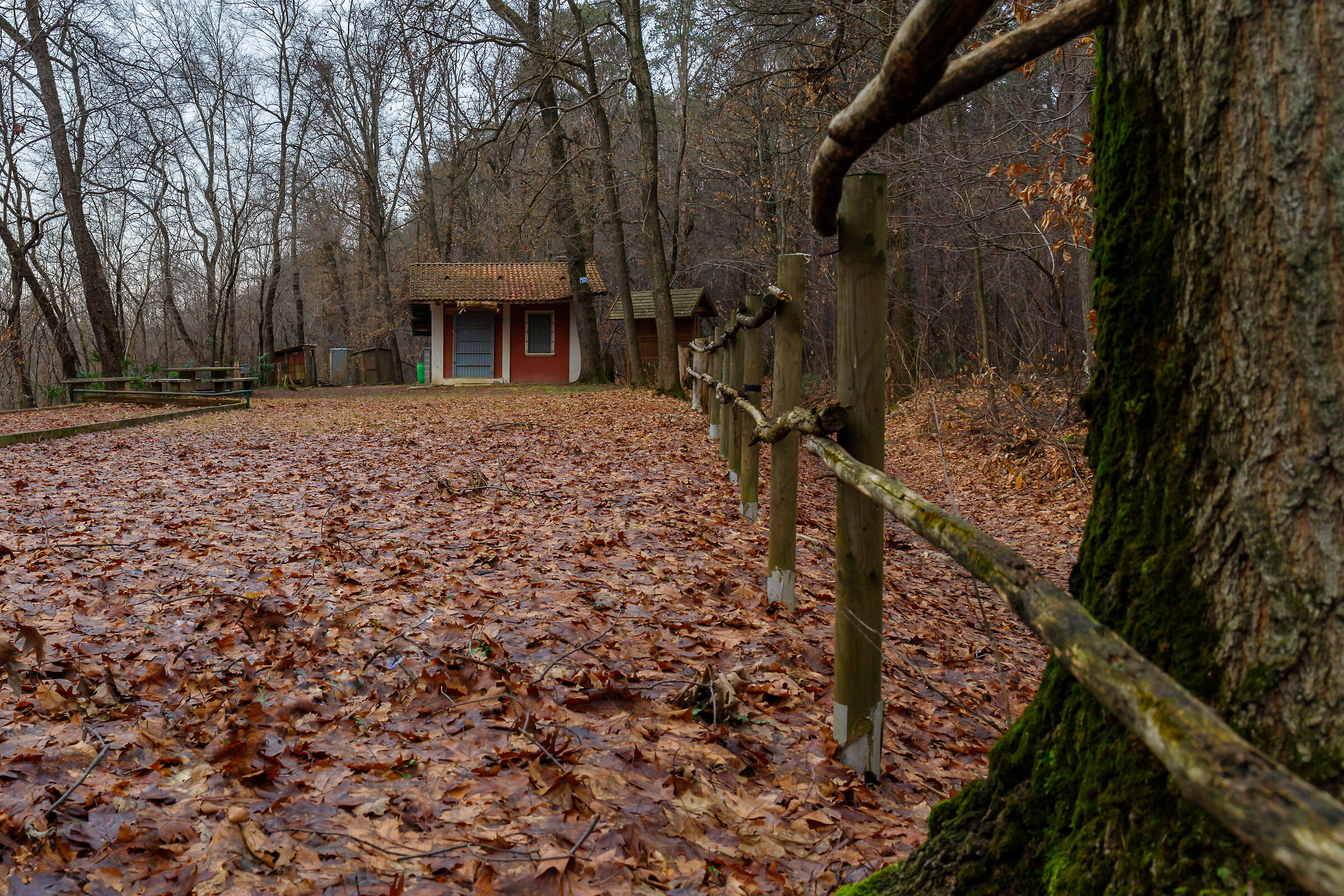 La casa dei cacciatori