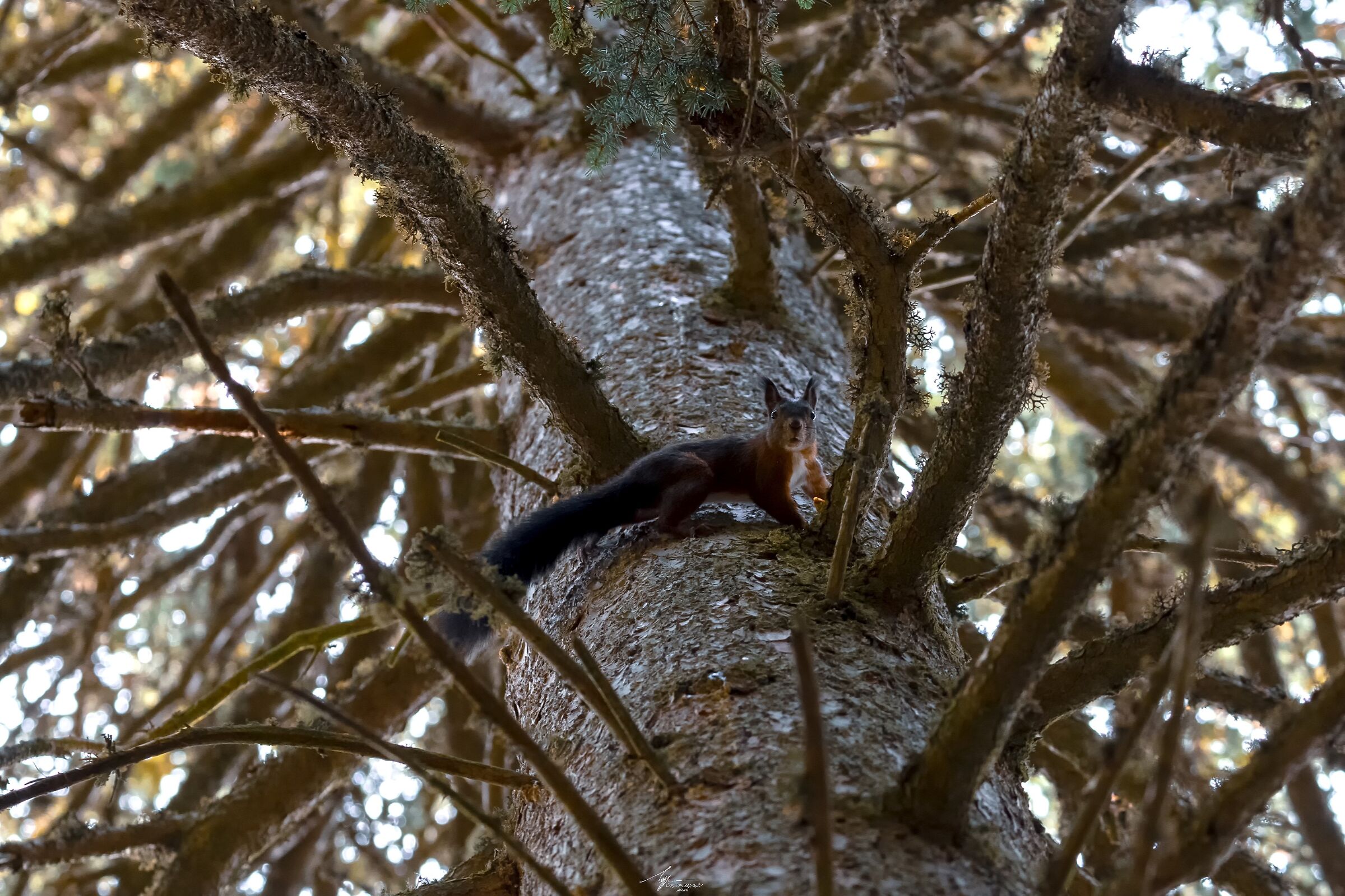 Ehi, che succede amico??