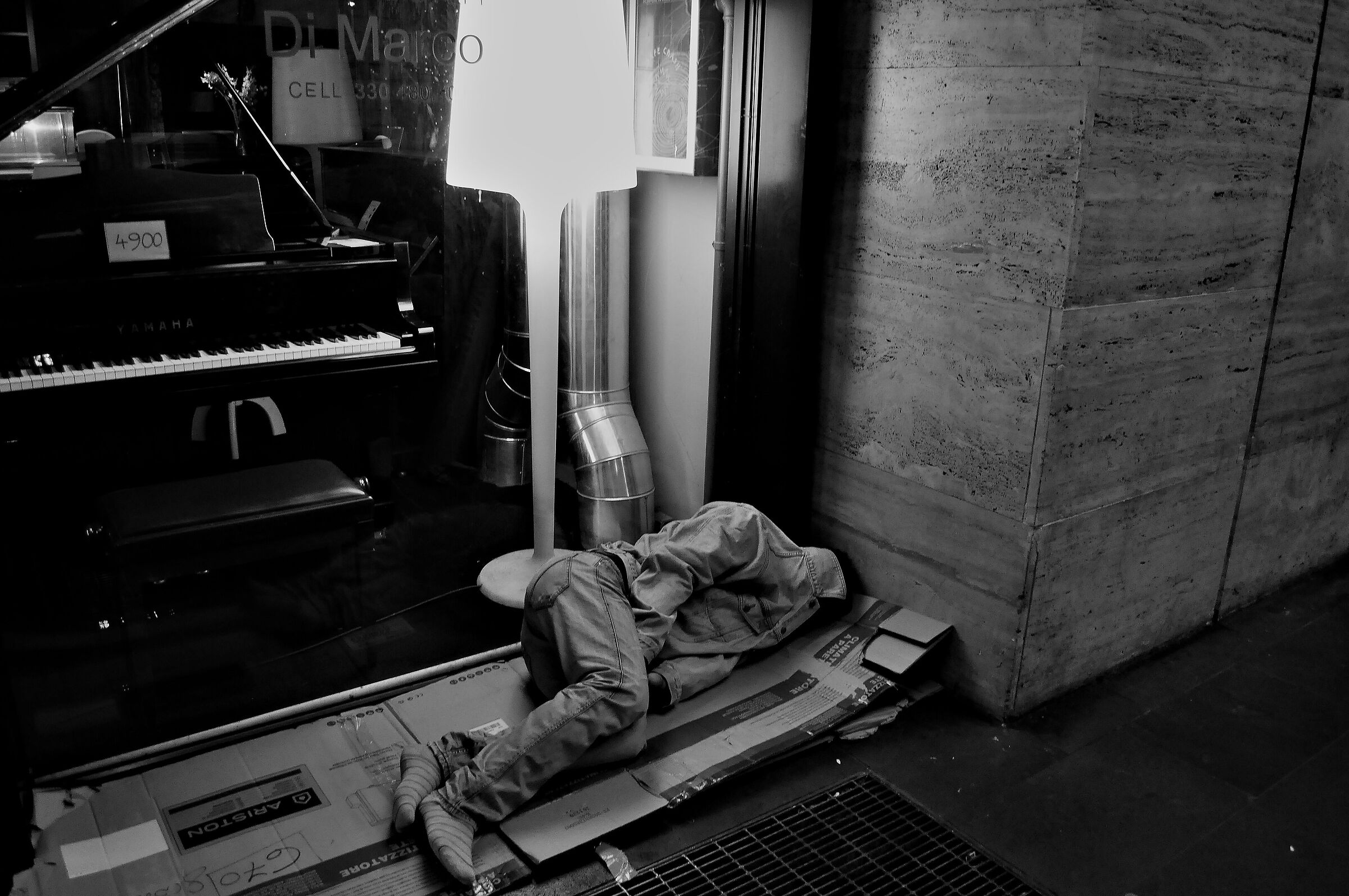 il barbone e il pianoforte