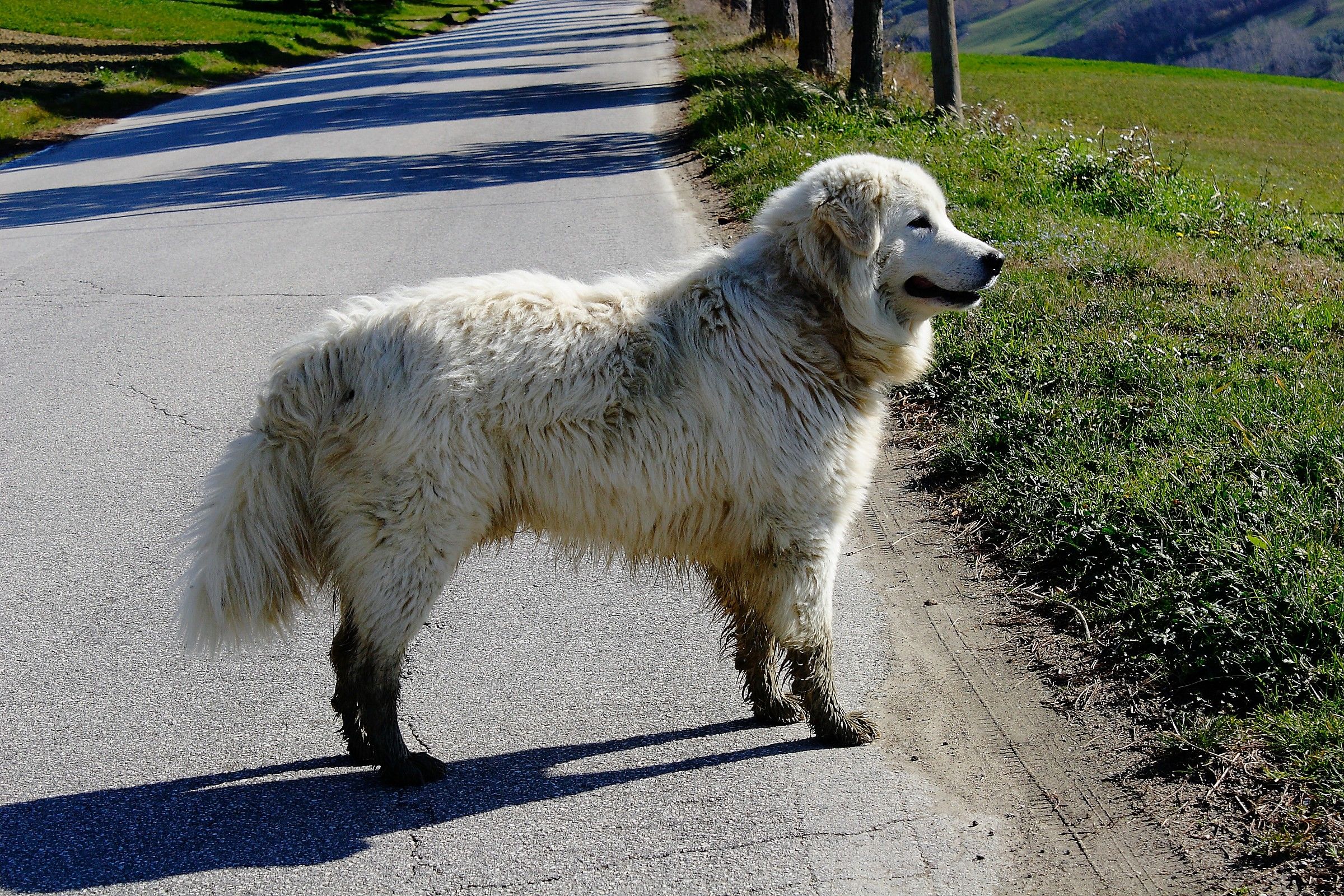 Di ritorno dal lavoro.