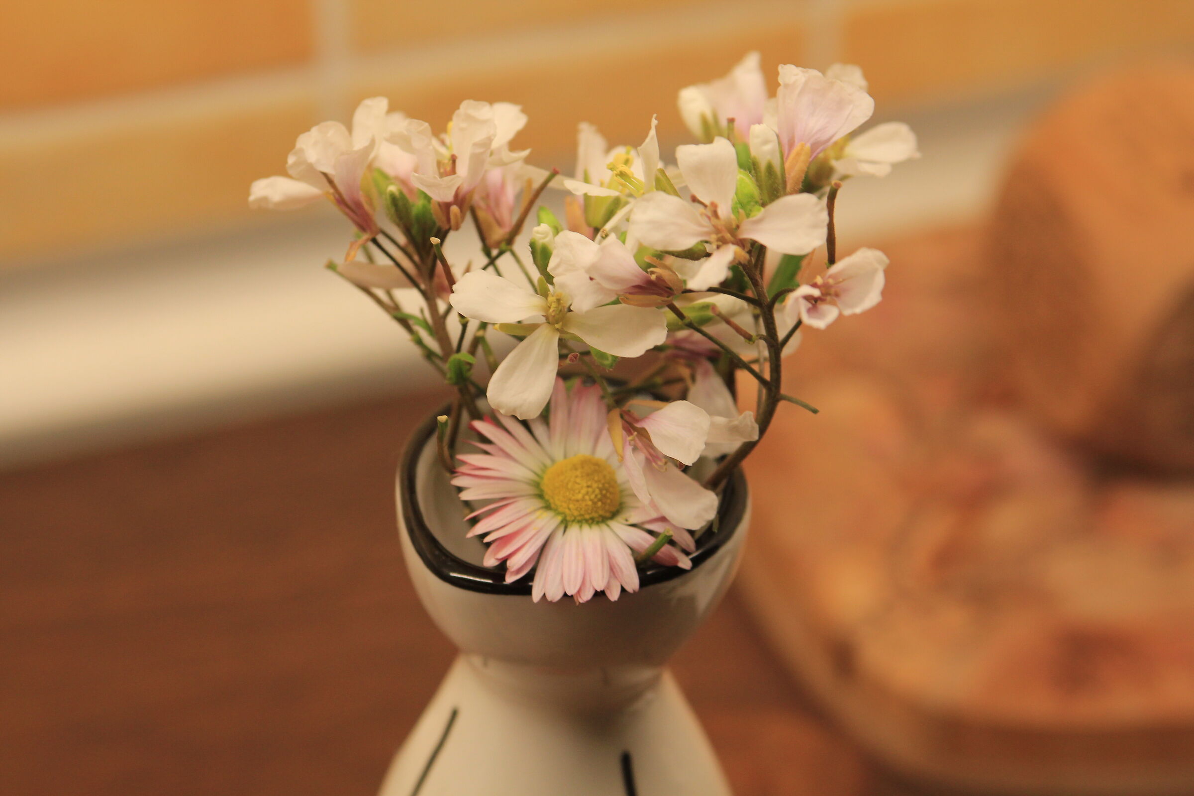 Fiori - Canon 60D e Canon 28-70 f2.8