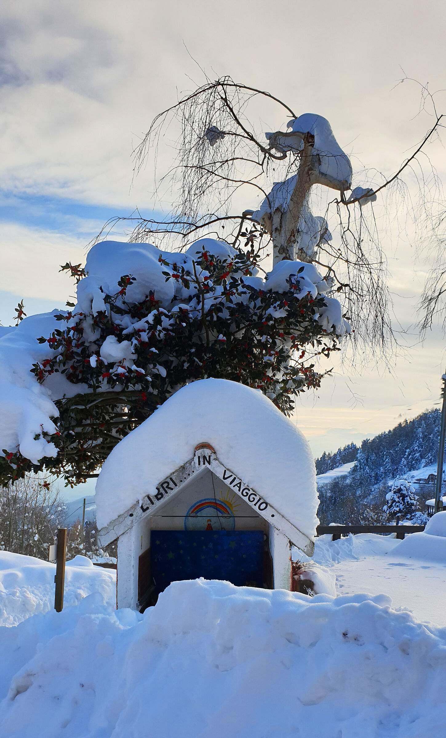 La biblioteca è inaccessibile !