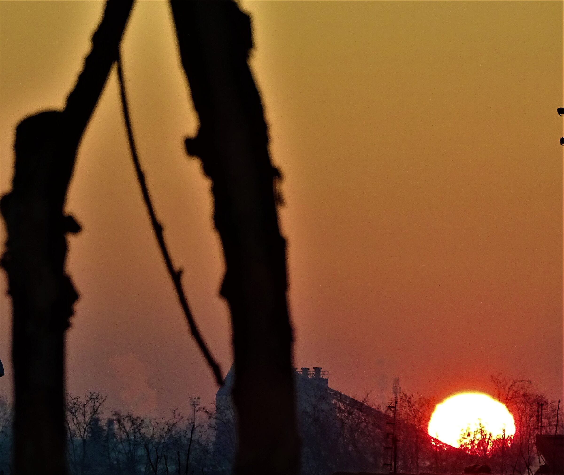 il sole sorge..un nuovo giorno..