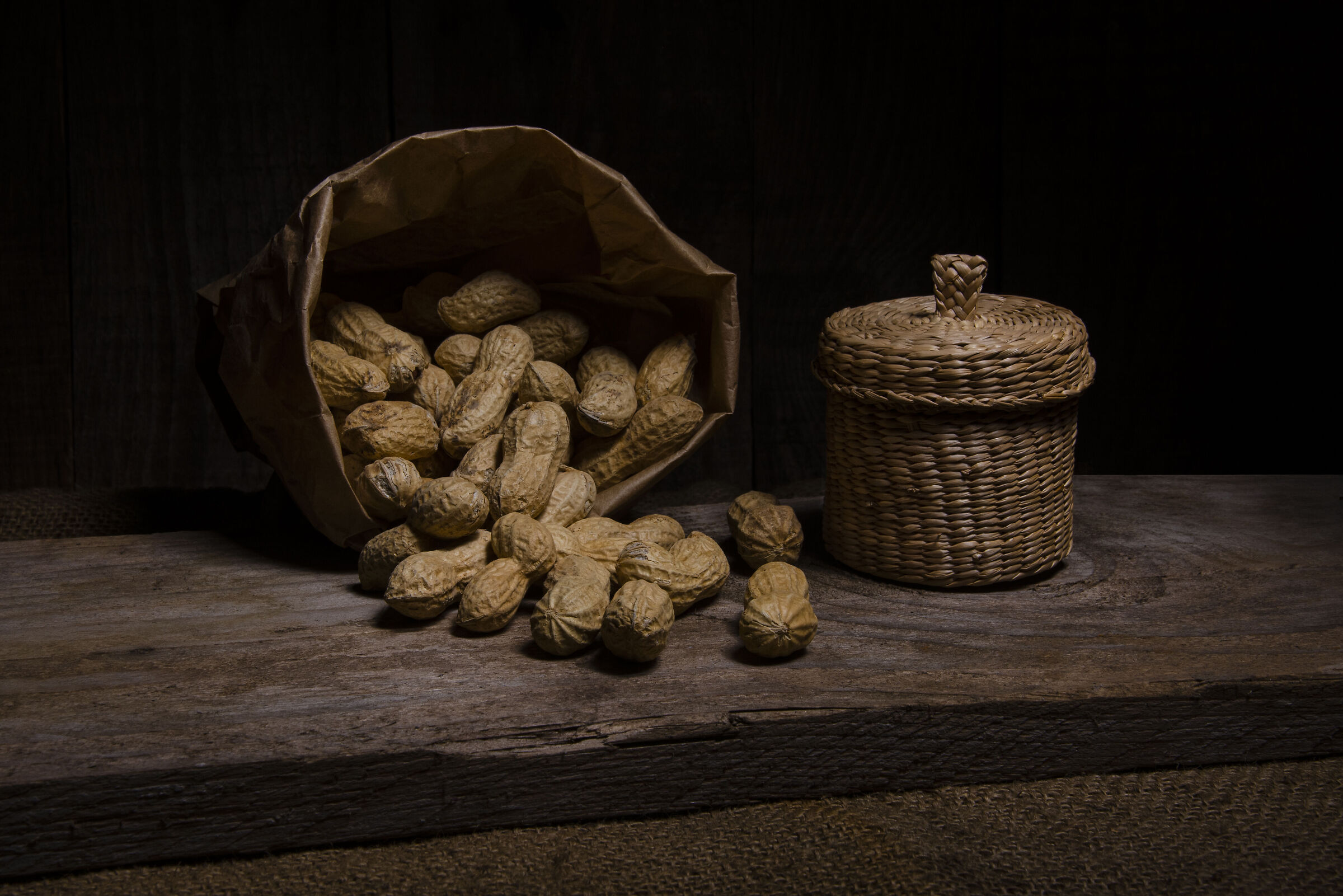Arachidi... light painting