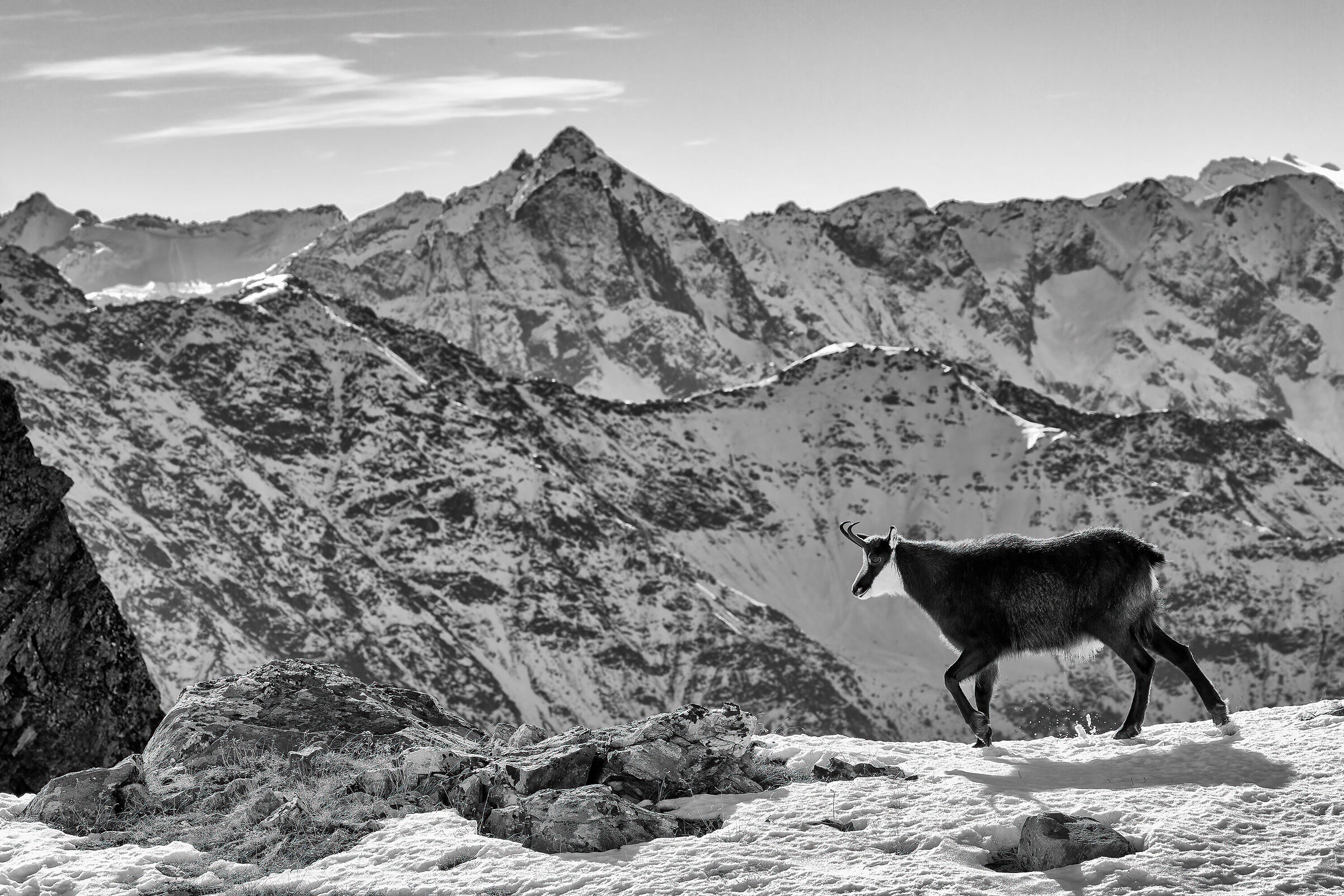 The Silence of Solitude