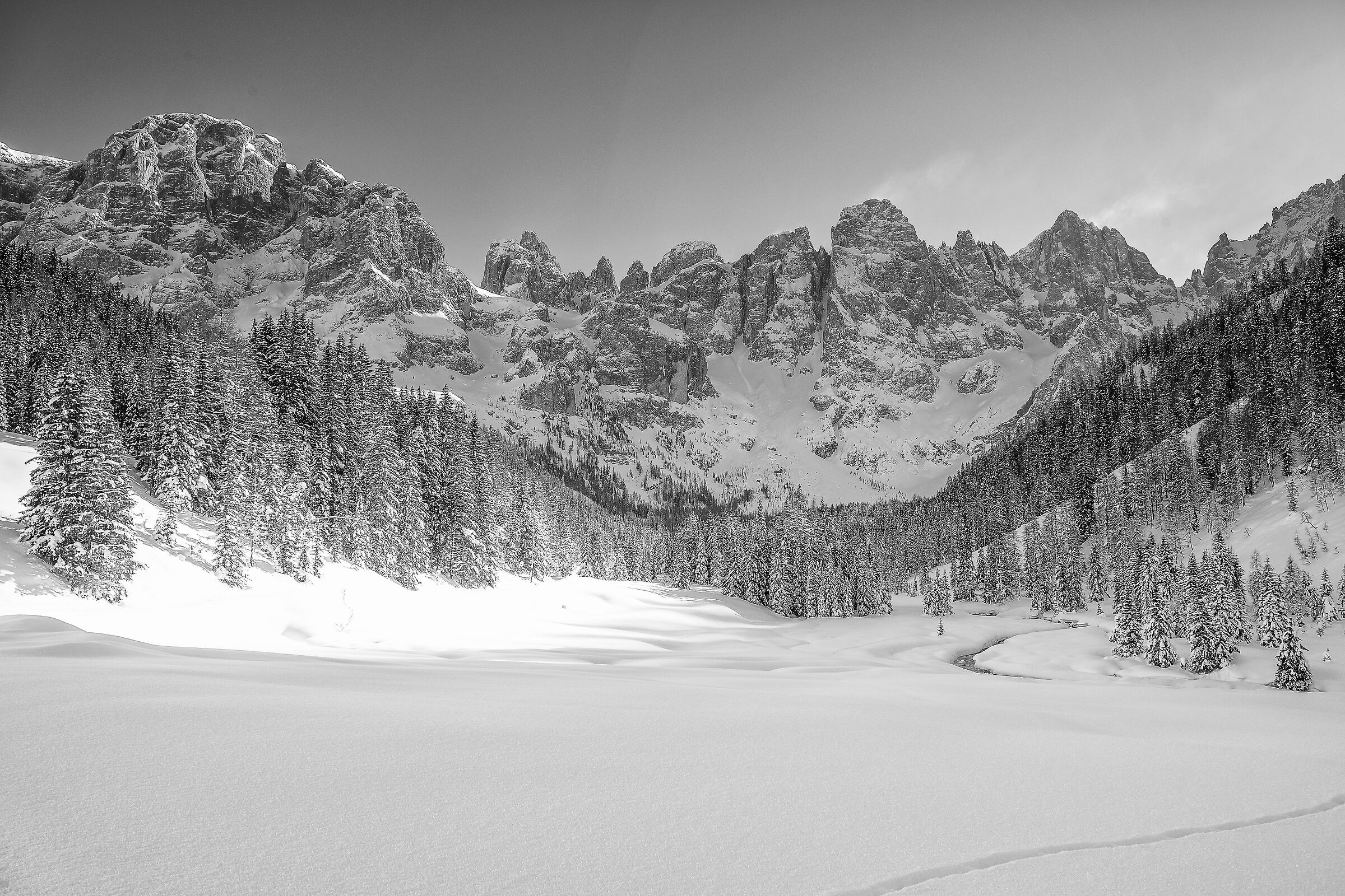 St. Martin's Shovels