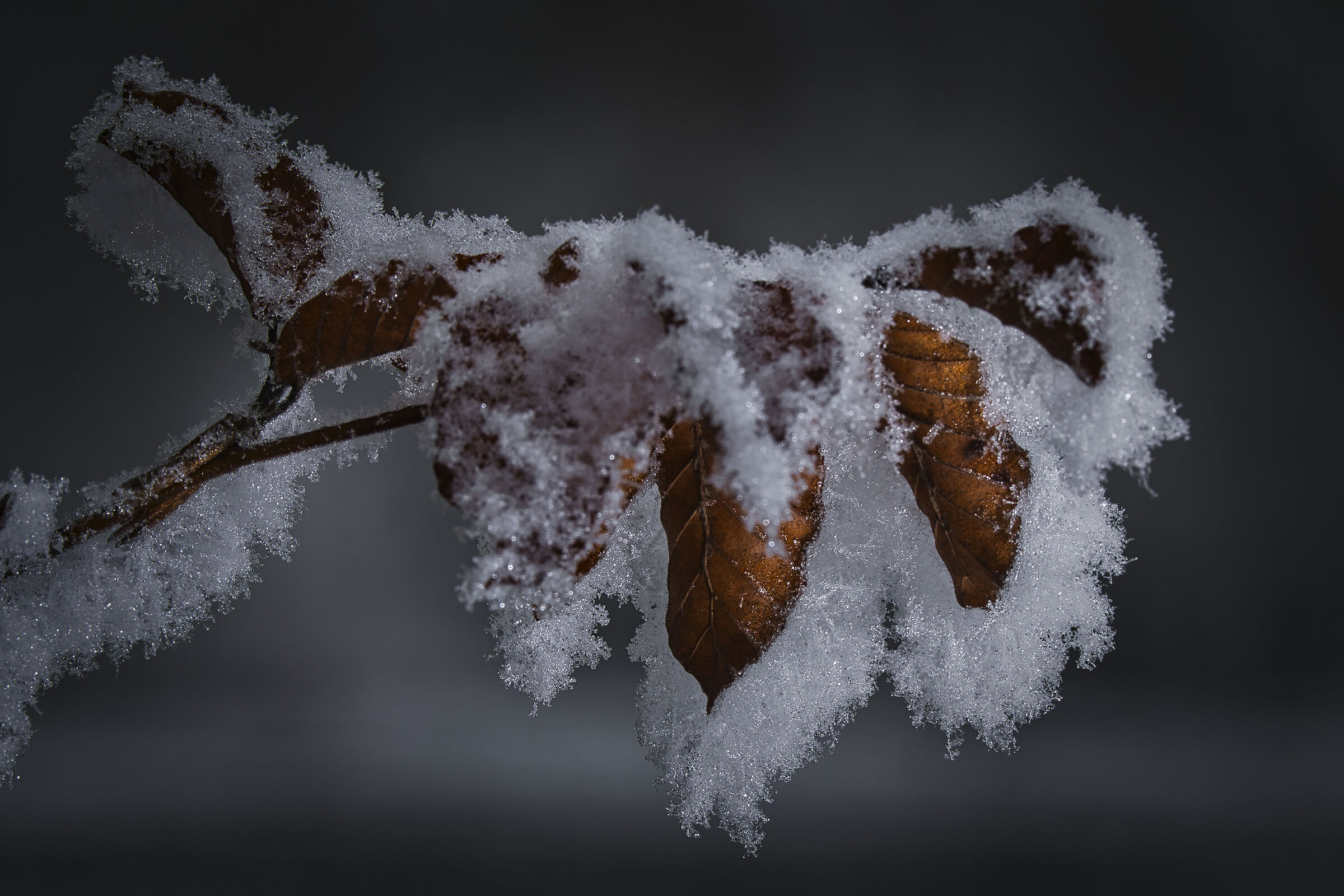 L'armonia del freddo e del caldo