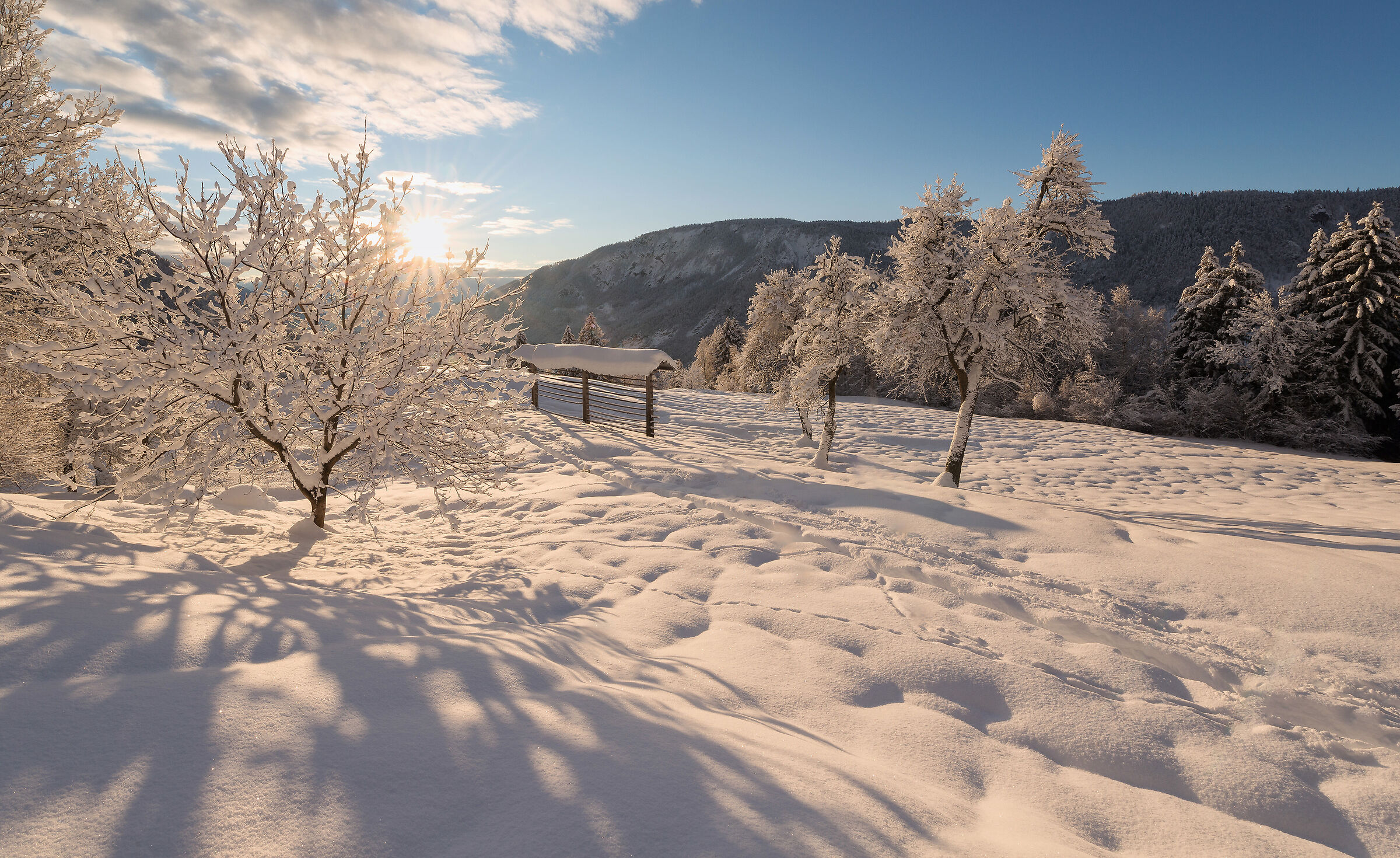 Winter in the countryside