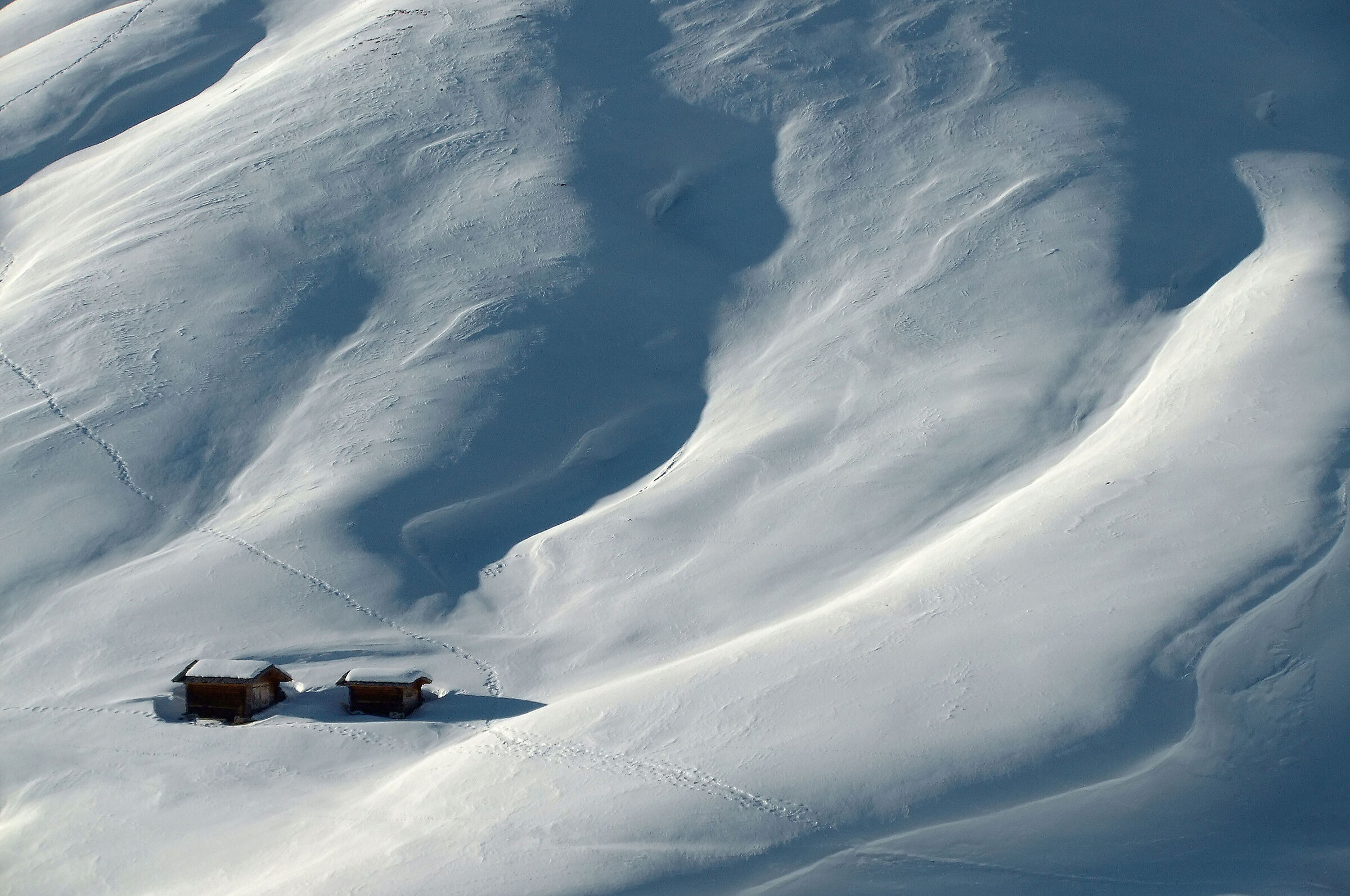 Ricordo di una "settimana bianca"