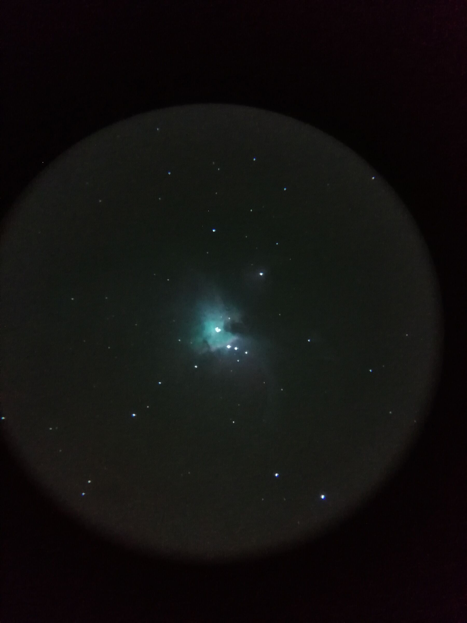 Nebulosa di Orione 2021