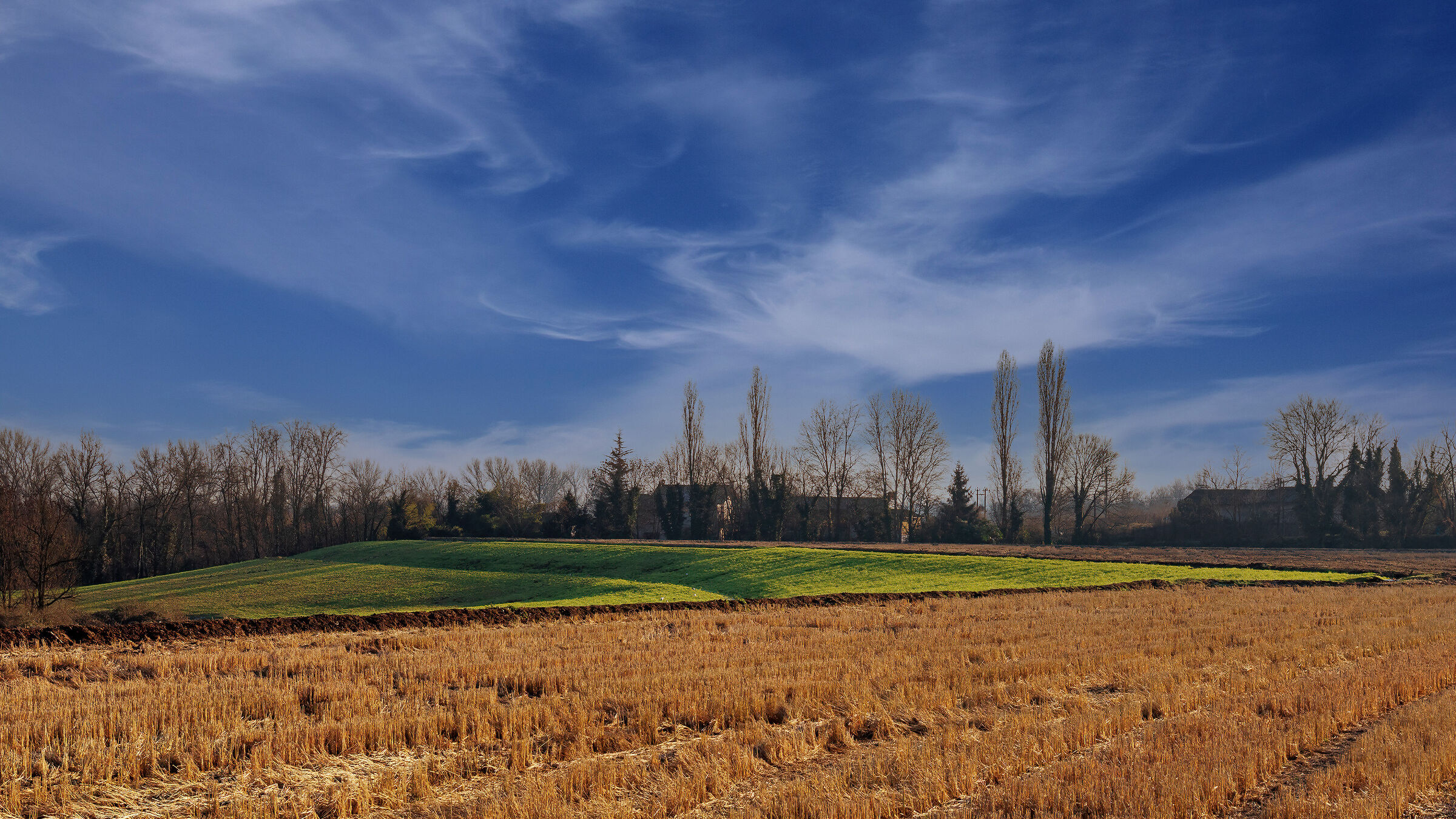 Bianco,rosso e verde
