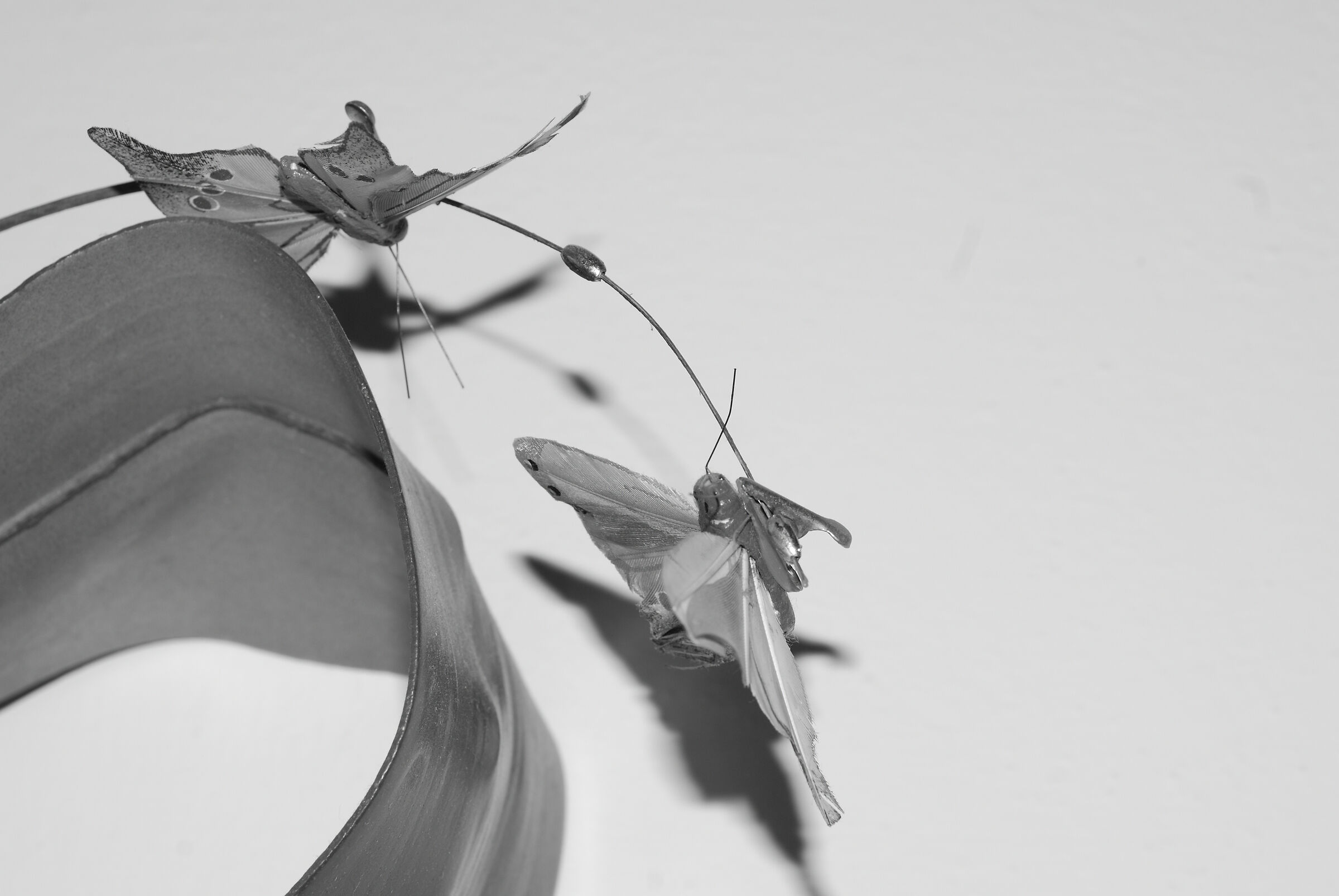 Macro "Farfa artificials"