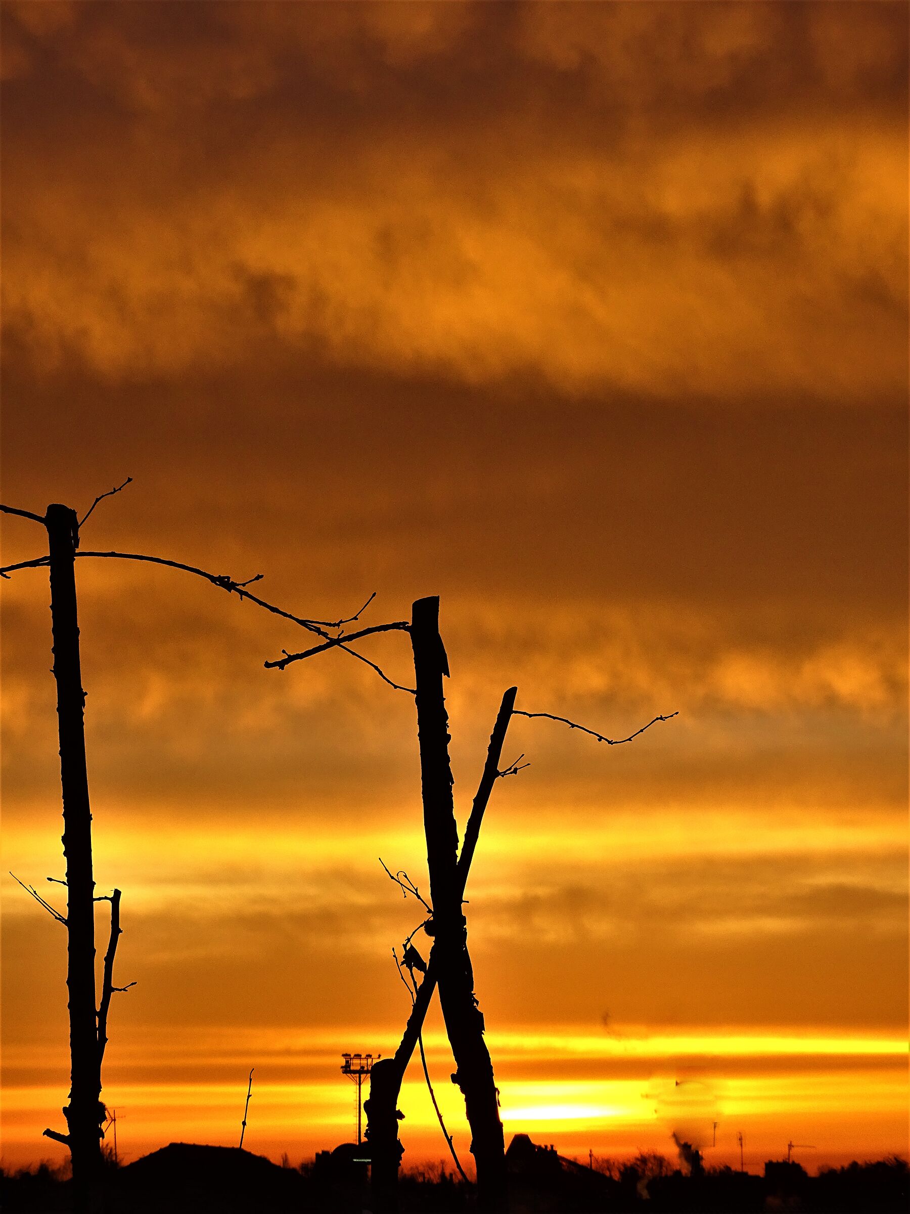 l'alba del 12.01.2021