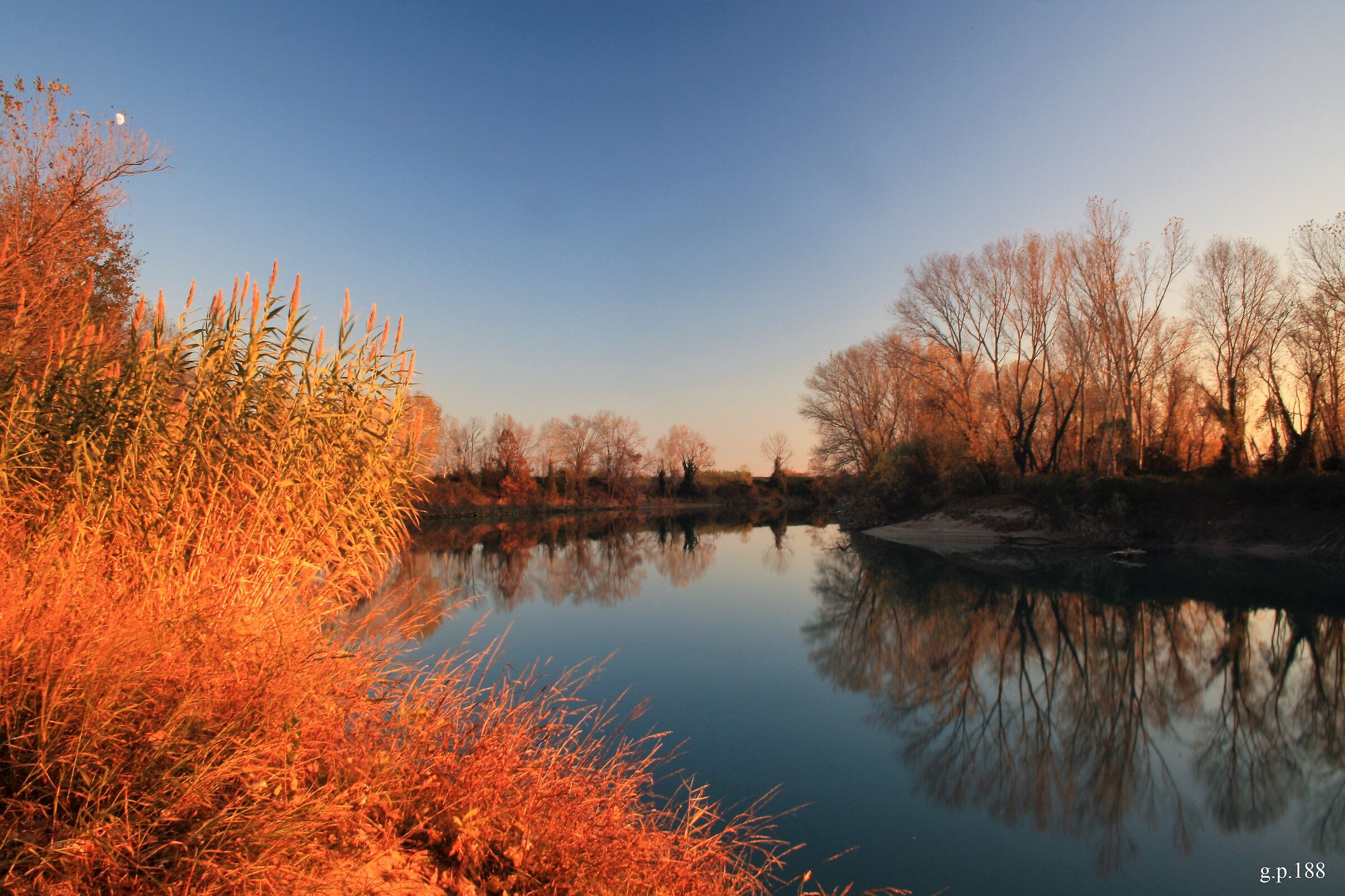 Riflessi sul Tagliamento