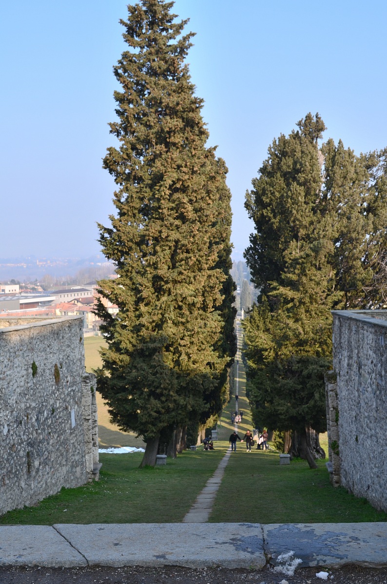 Cypress-lined path from Villa Crivelli at Santa Maria