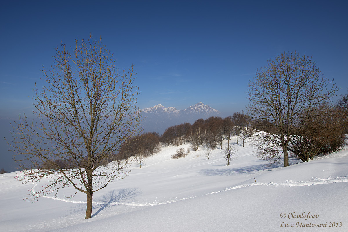 Grignetta e Grignone tra gli alberi