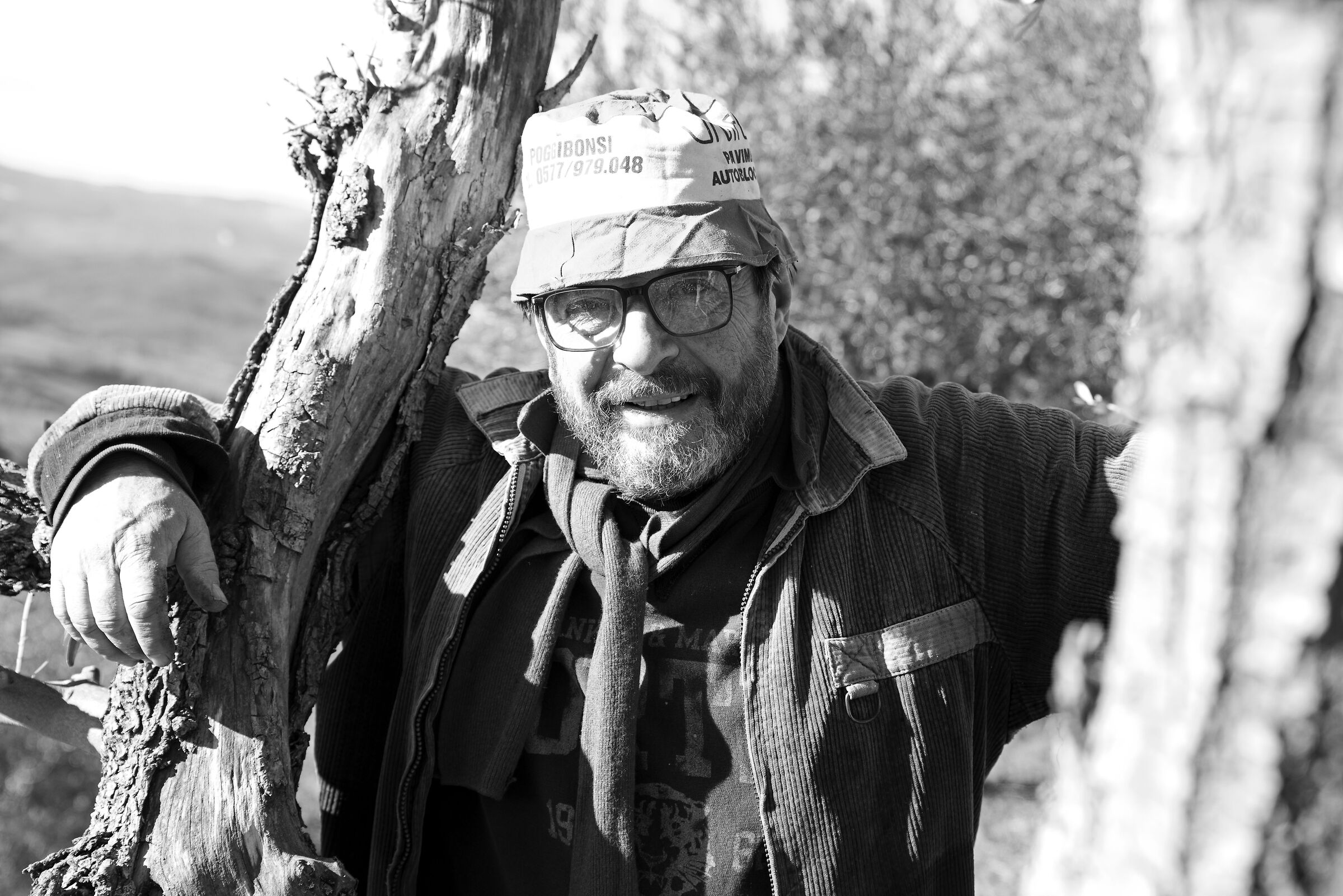 Massimo, tra i suoi olivi