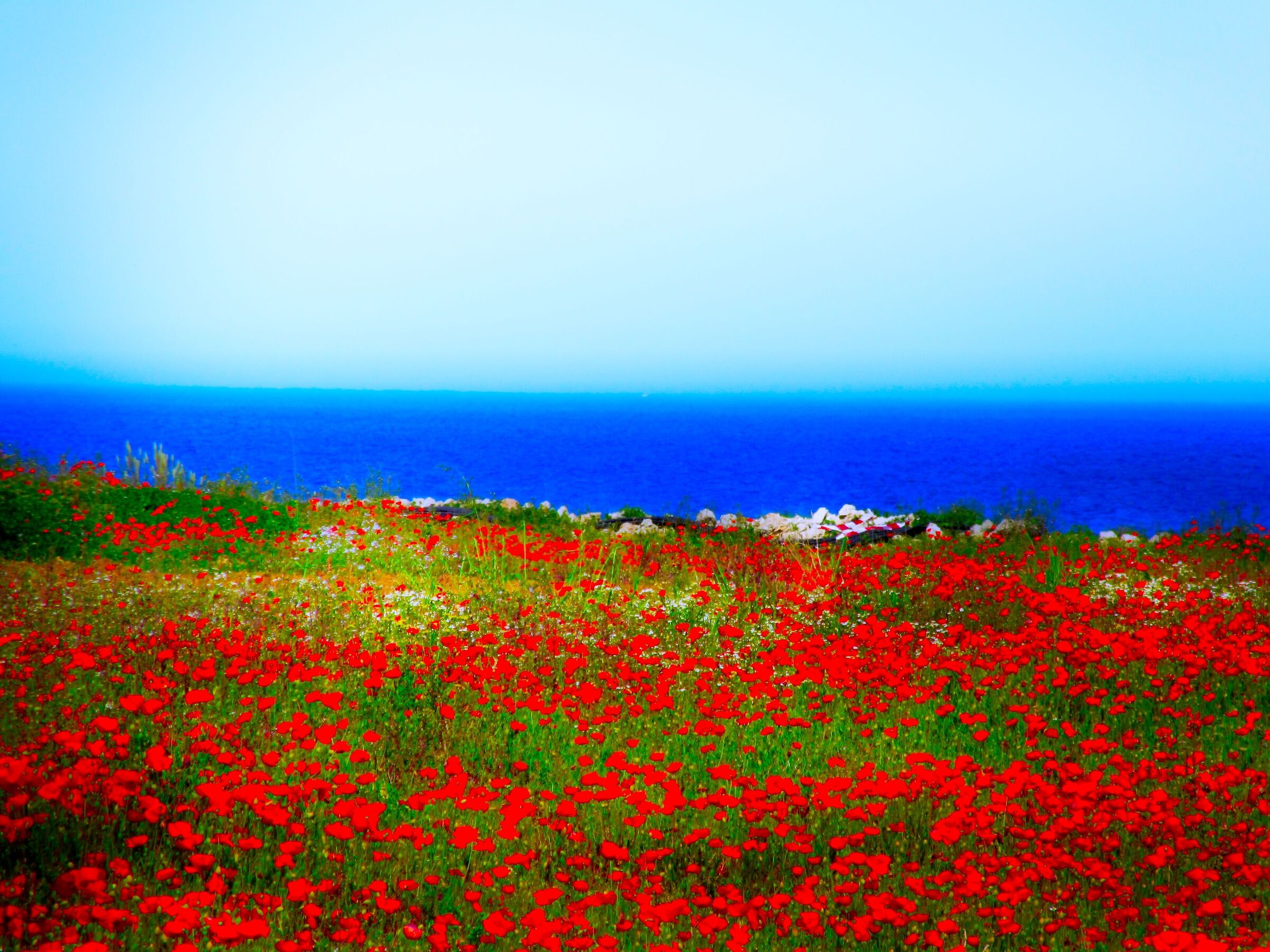 Sogno di mezza estate