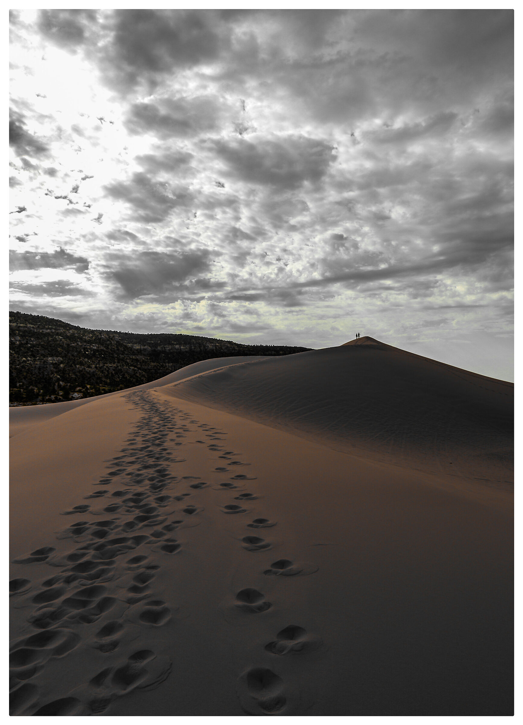 Coral Pink Sand Dunes State Park